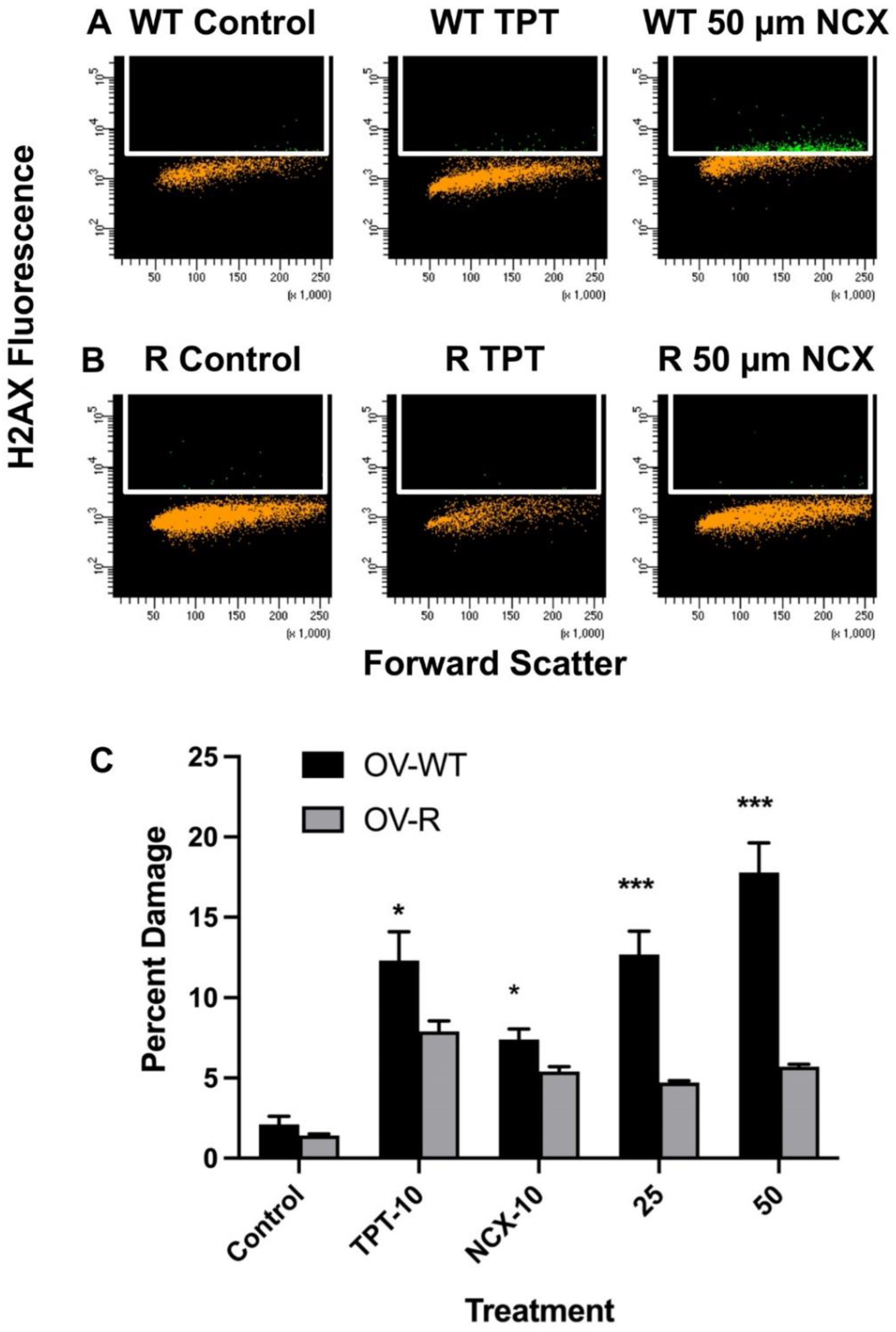 Ijms 23 08611 g005 Ijms 23 08611 g005