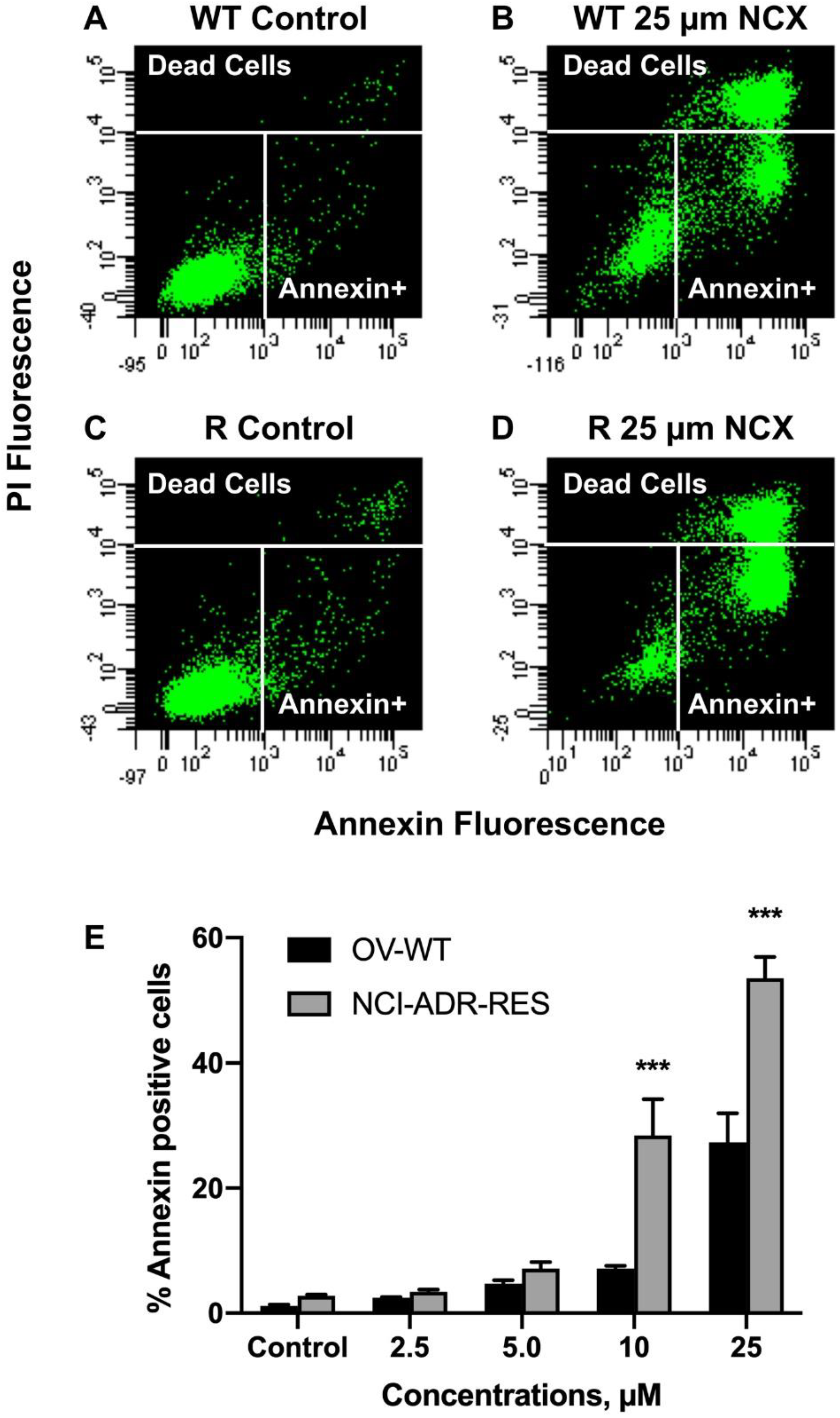 Ijms 23 08611 g007 Ijms 23 08611 g007