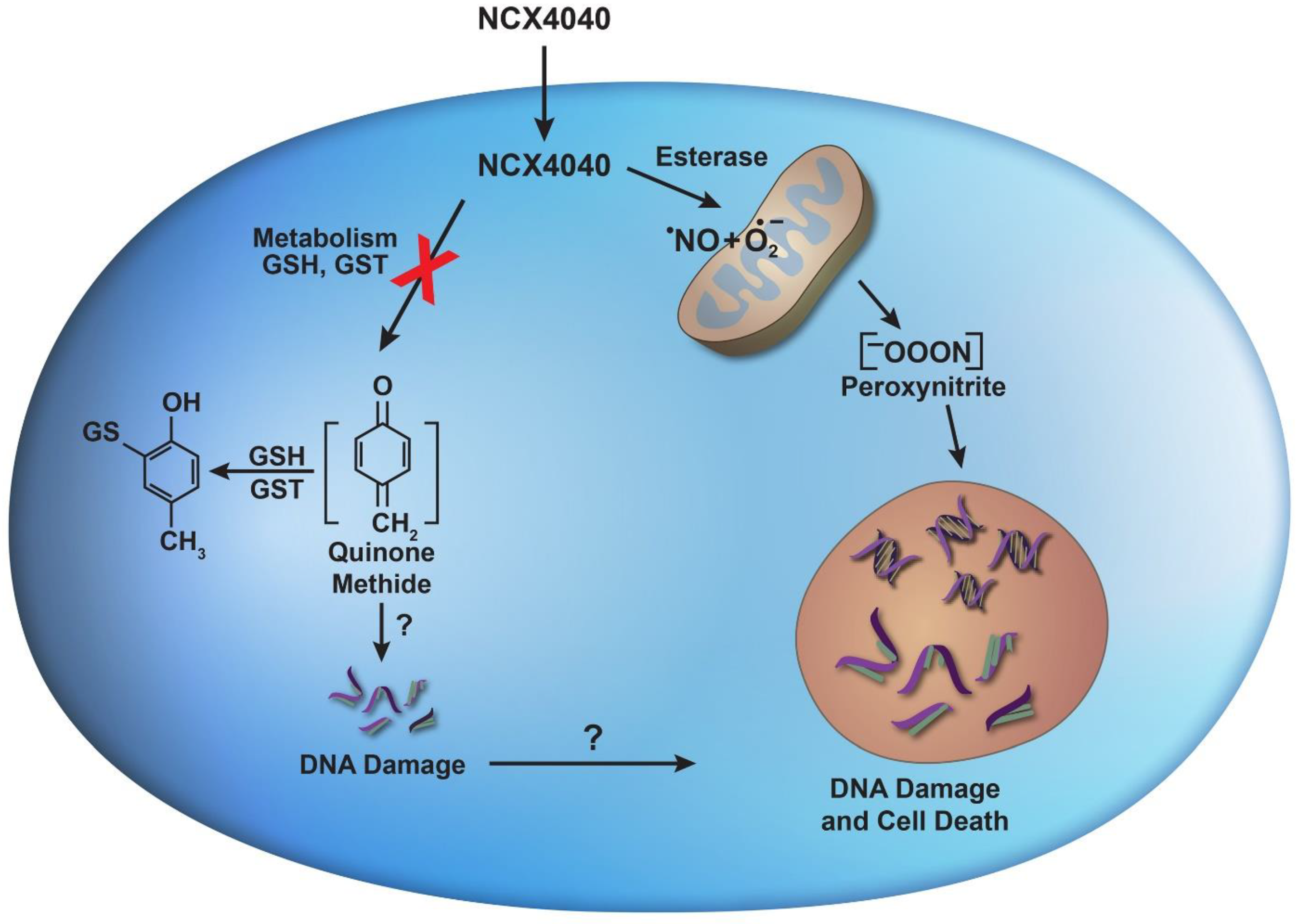 Ijms 23 08611 g010 Ijms 23 08611 g010