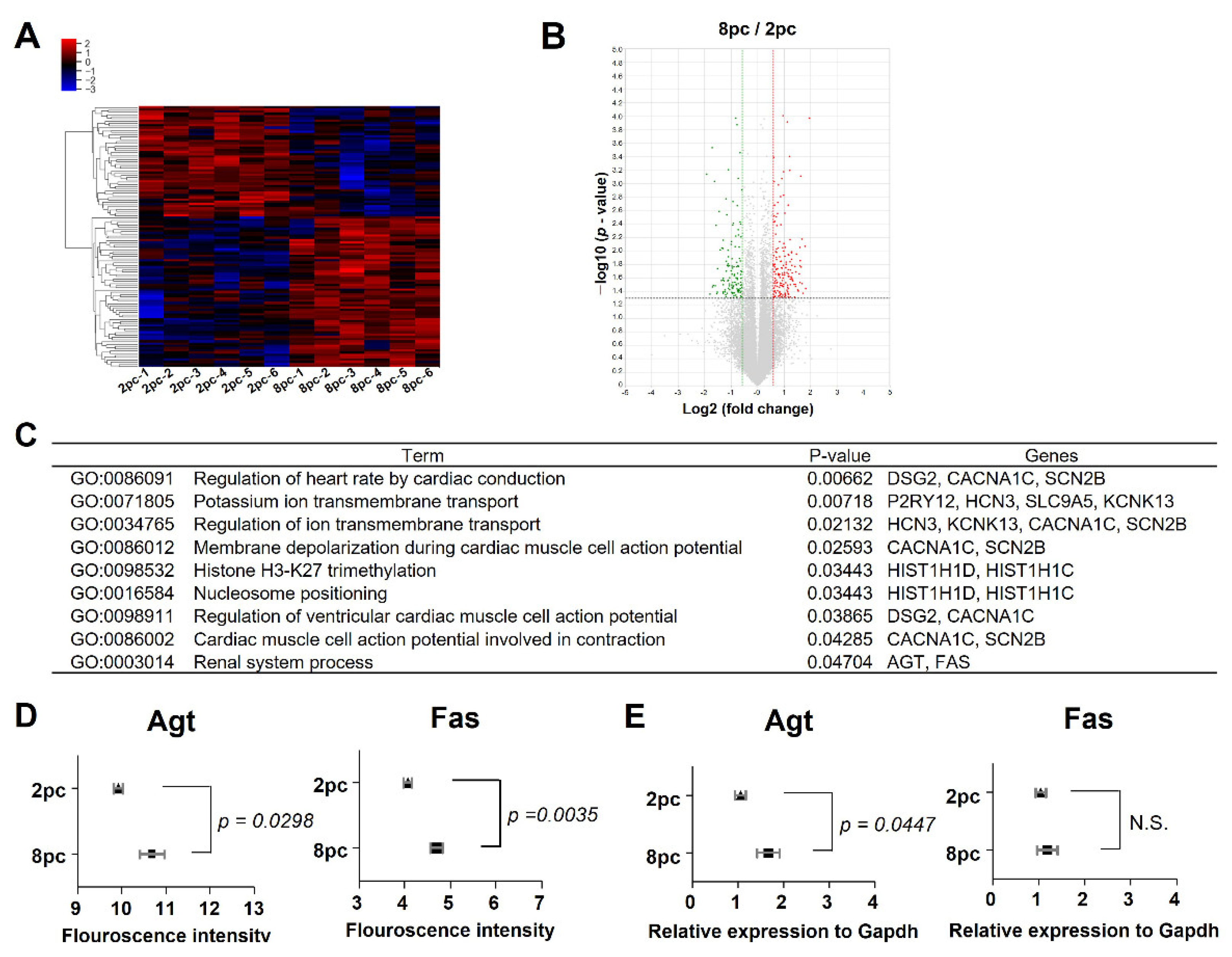 Ijms 23 08614 g004 Ijms 23 08614 g004
