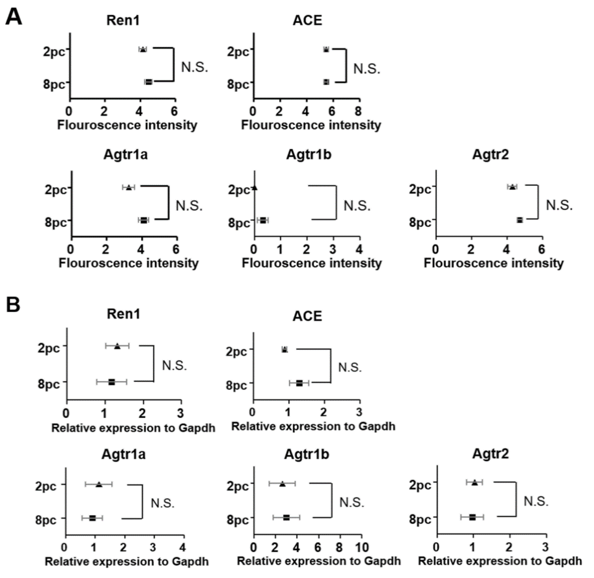 Ijms 23 08614 g005 Ijms 23 08614 g005