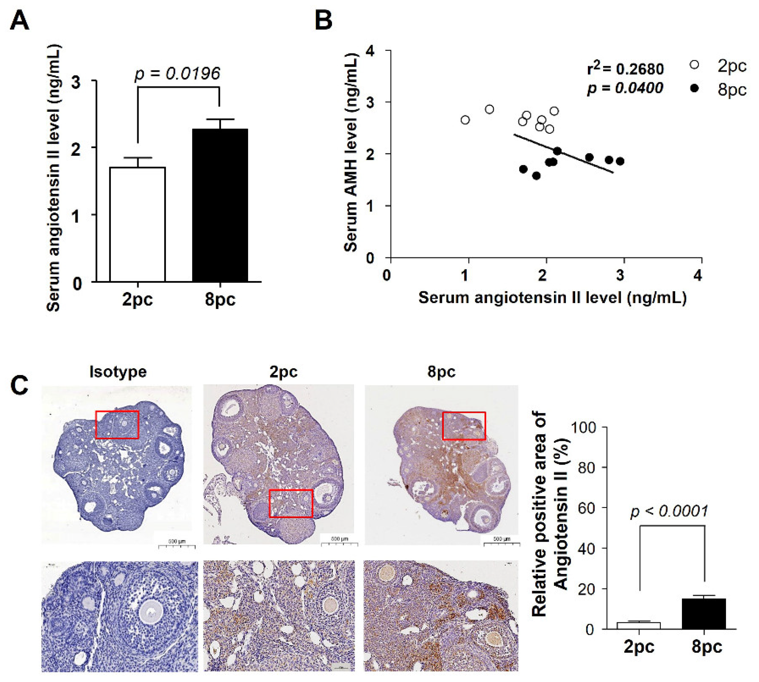 Ijms 23 08614 g006 Ijms 23 08614 g006