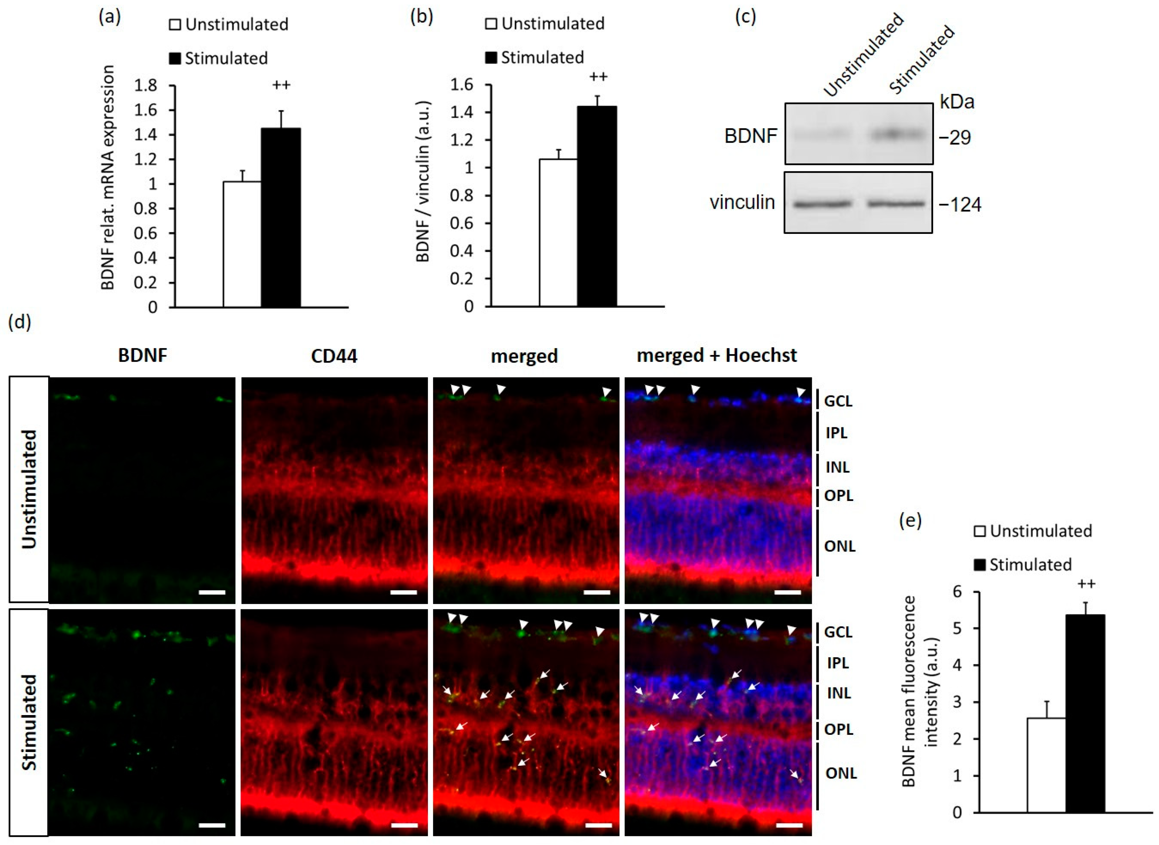 Ijms 23 08615 g001 Ijms 23 08615 g001