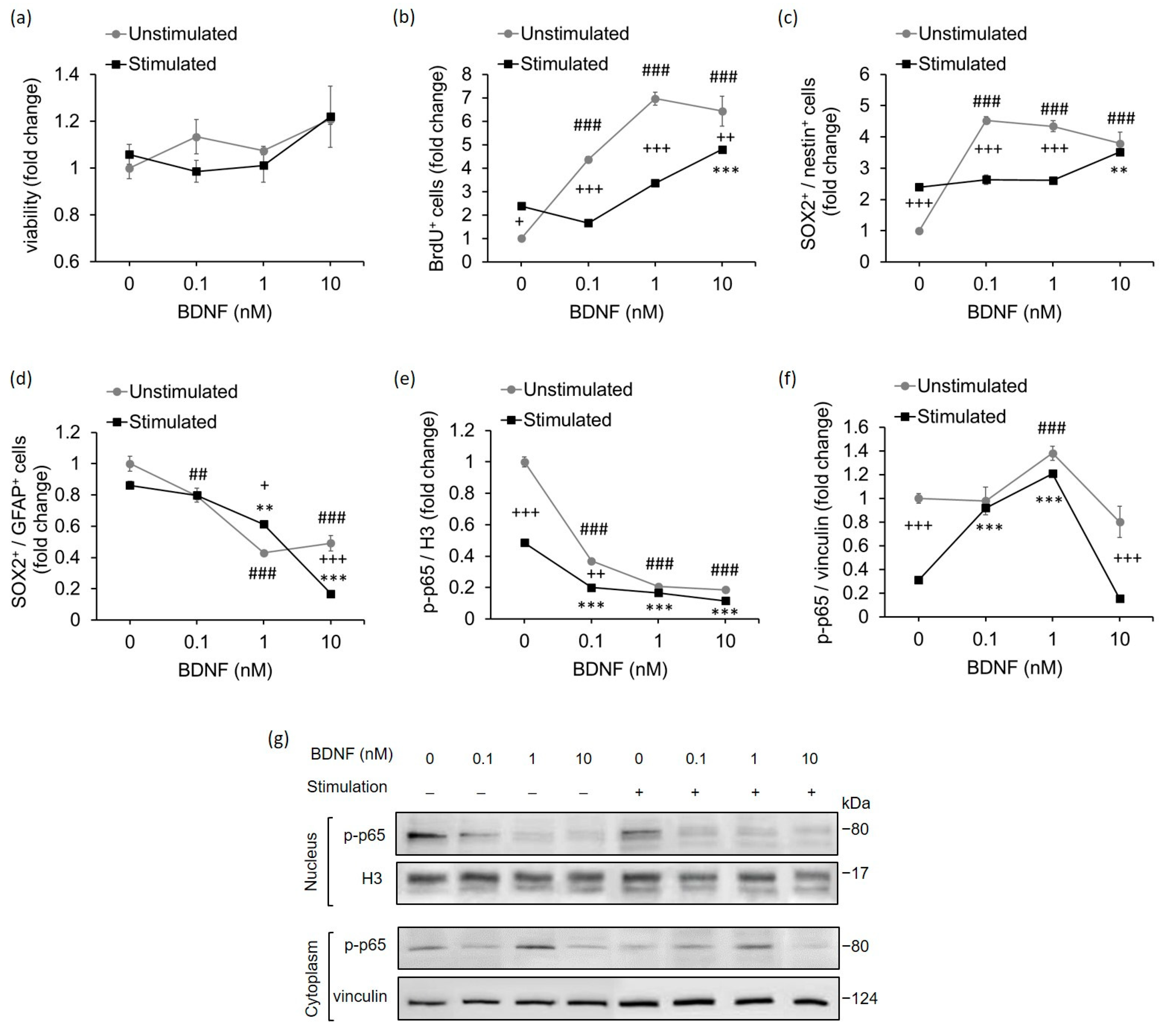 Ijms 23 08615 g004 Ijms 23 08615 g004