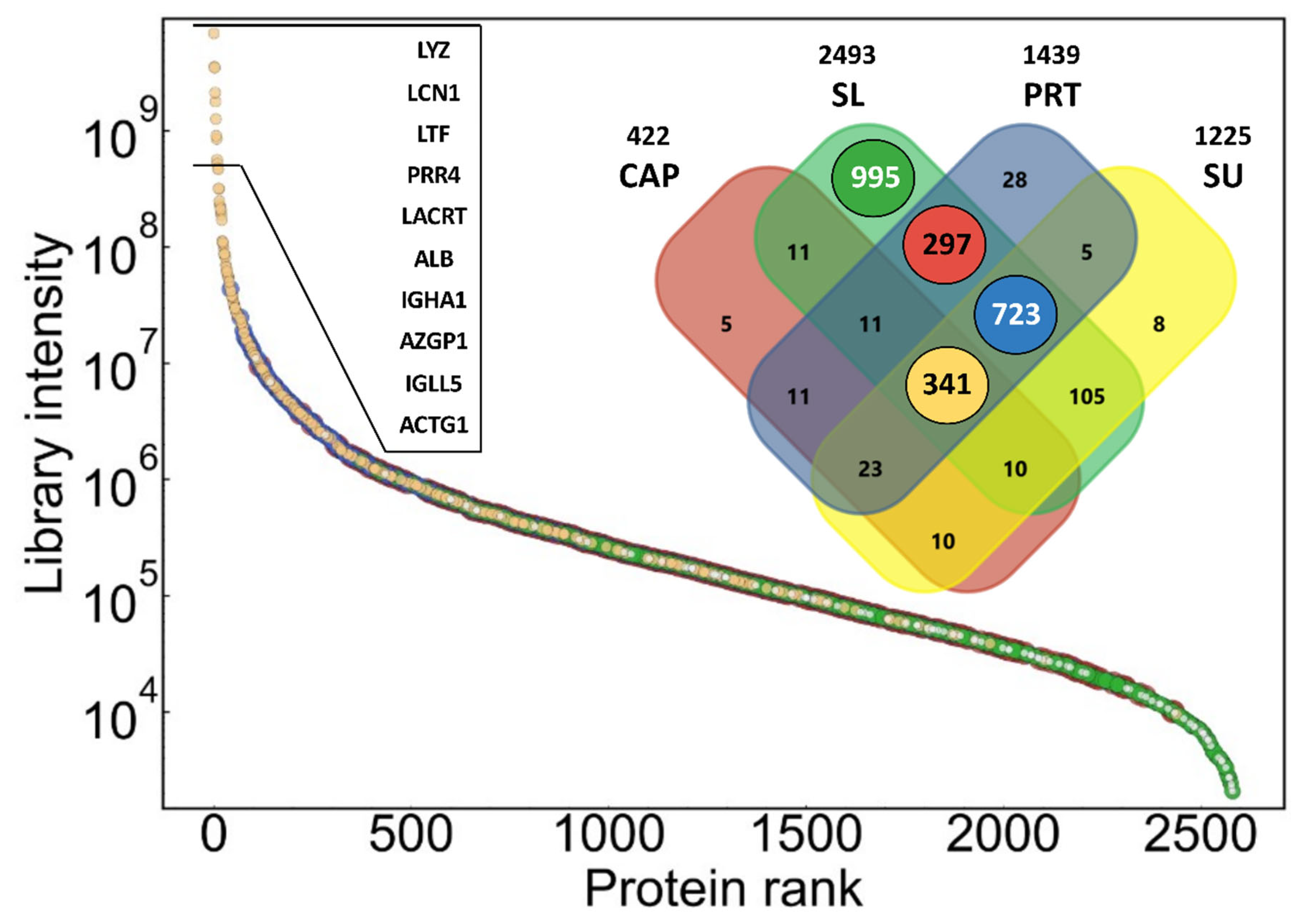 IJMS | Free Full-Text | An Extensive Study of Phenol Red Thread as