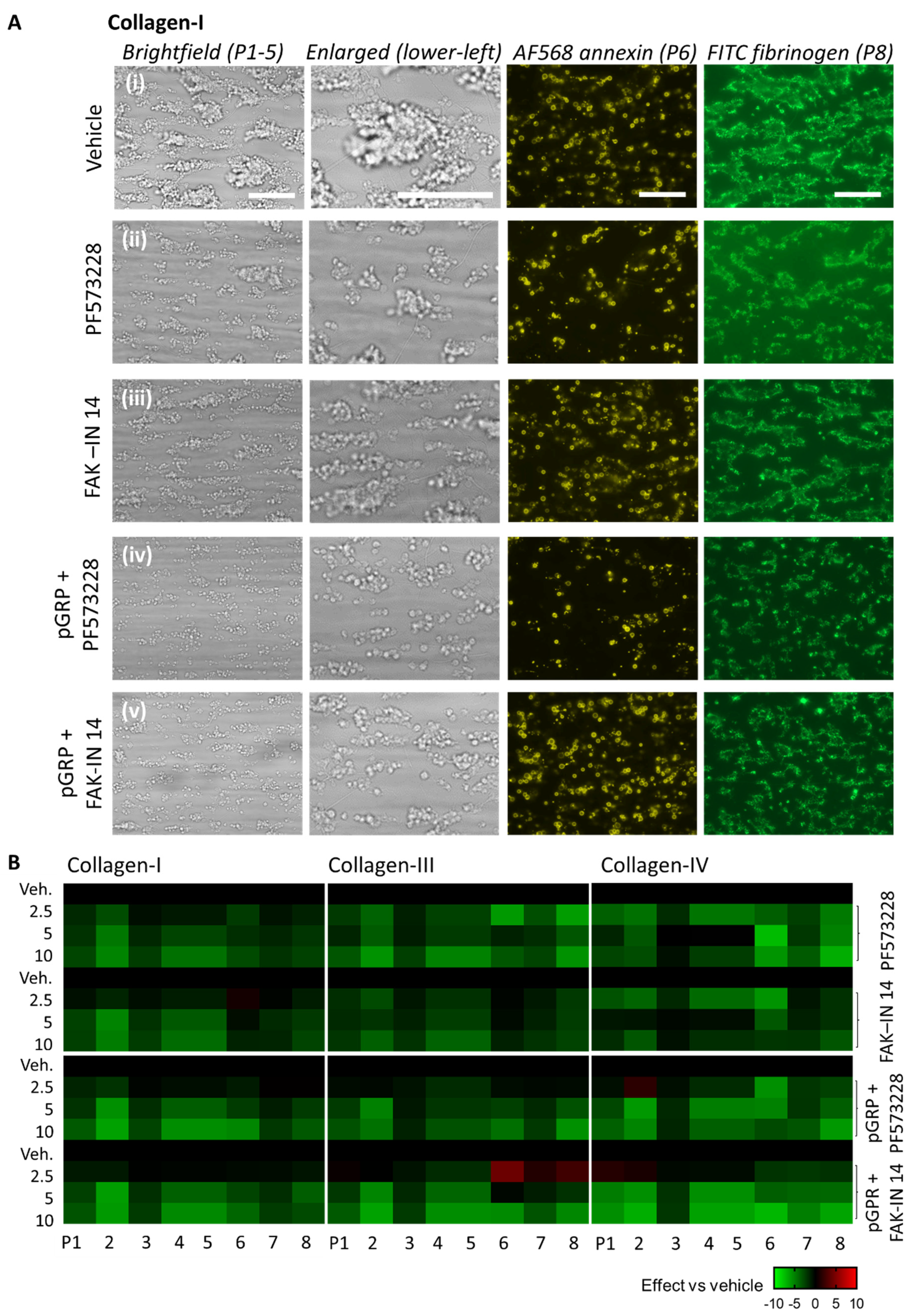 Ijms 23 08688 g003 Ijms 23 08688 g003