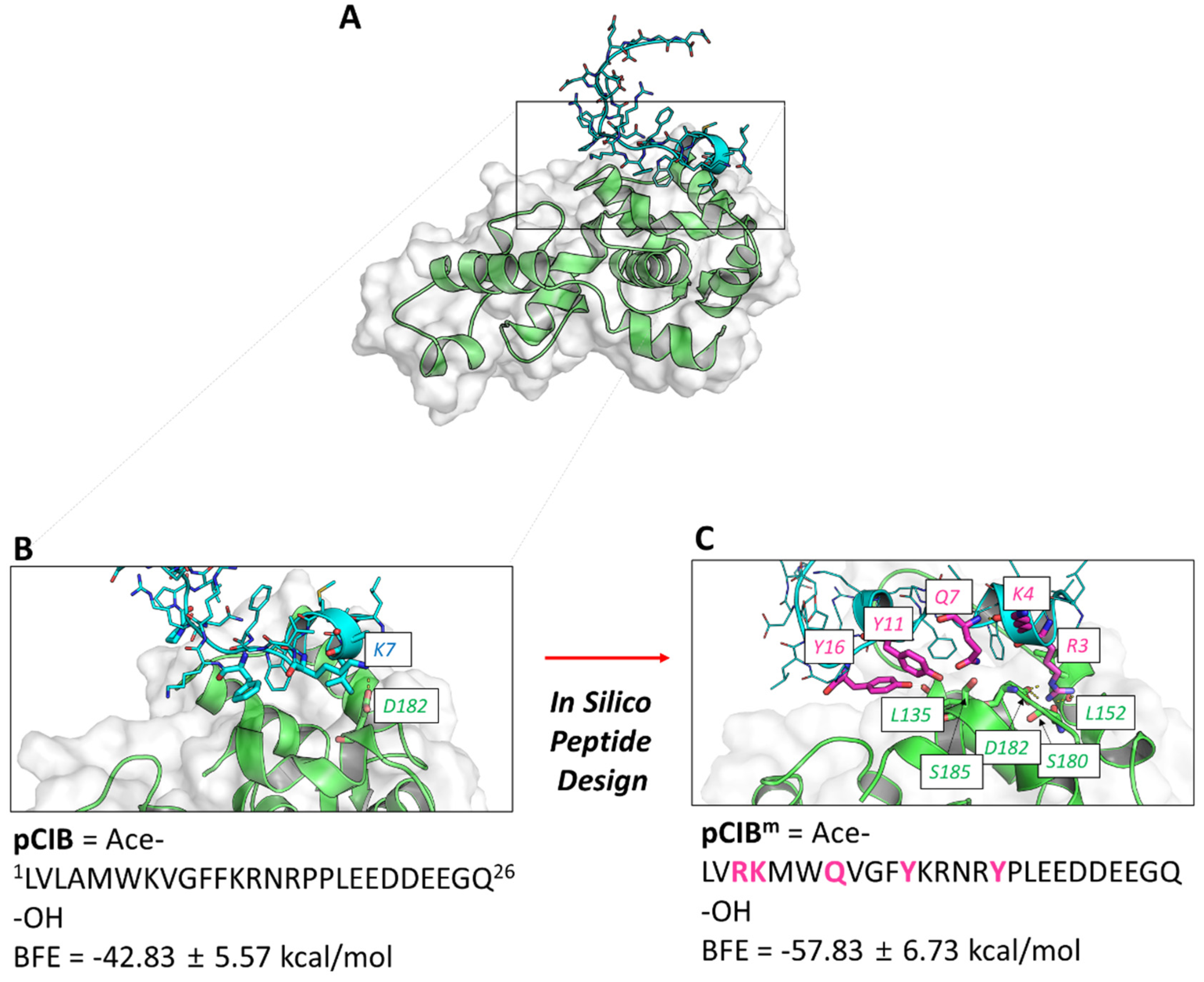 Ijms 23 08688 g005 Ijms 23 08688 g005