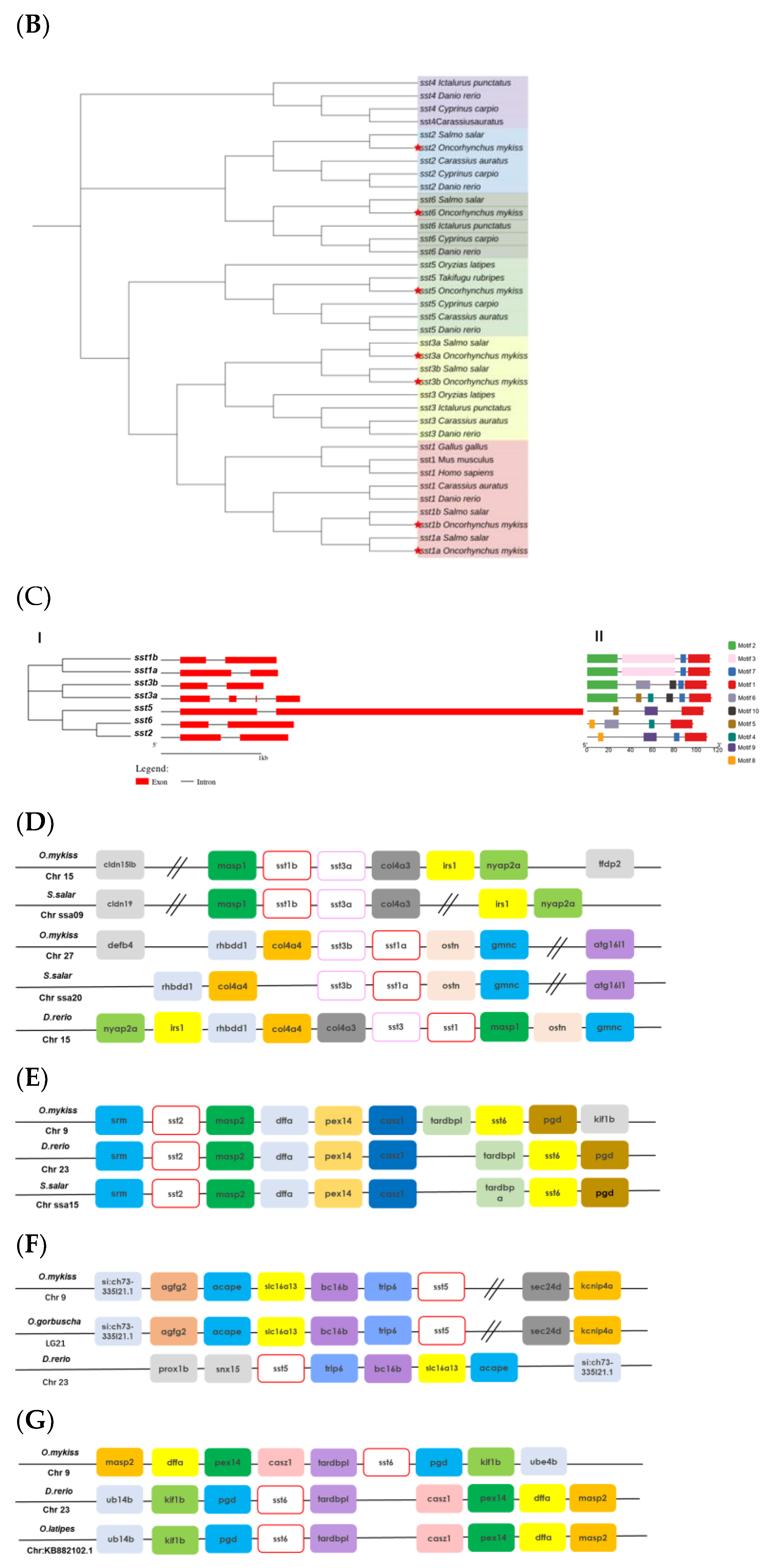 Ijms 23 08691 g001b Ijms 23 08691 g001b