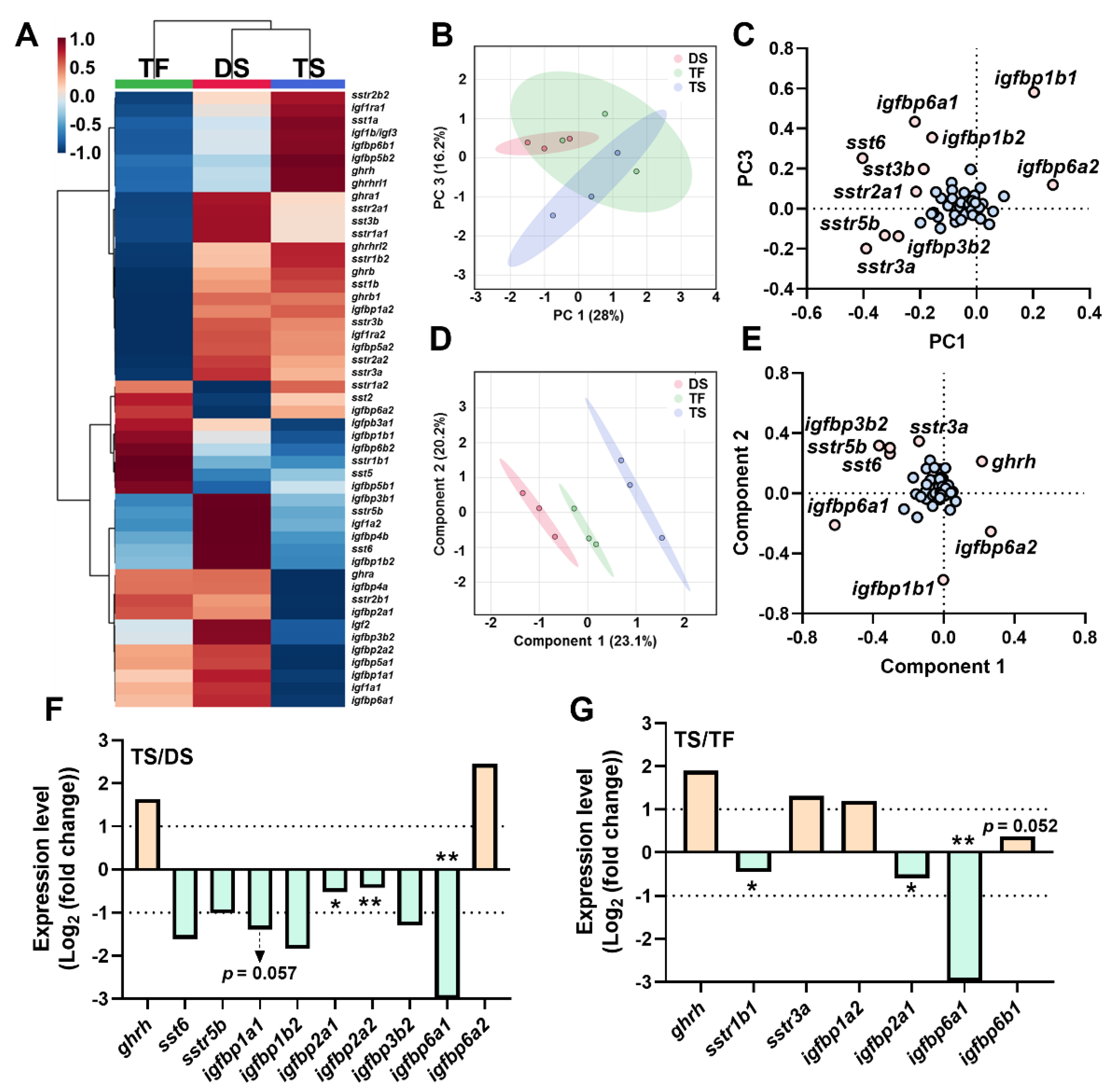 Ijms 23 08691 g003 Ijms 23 08691 g003