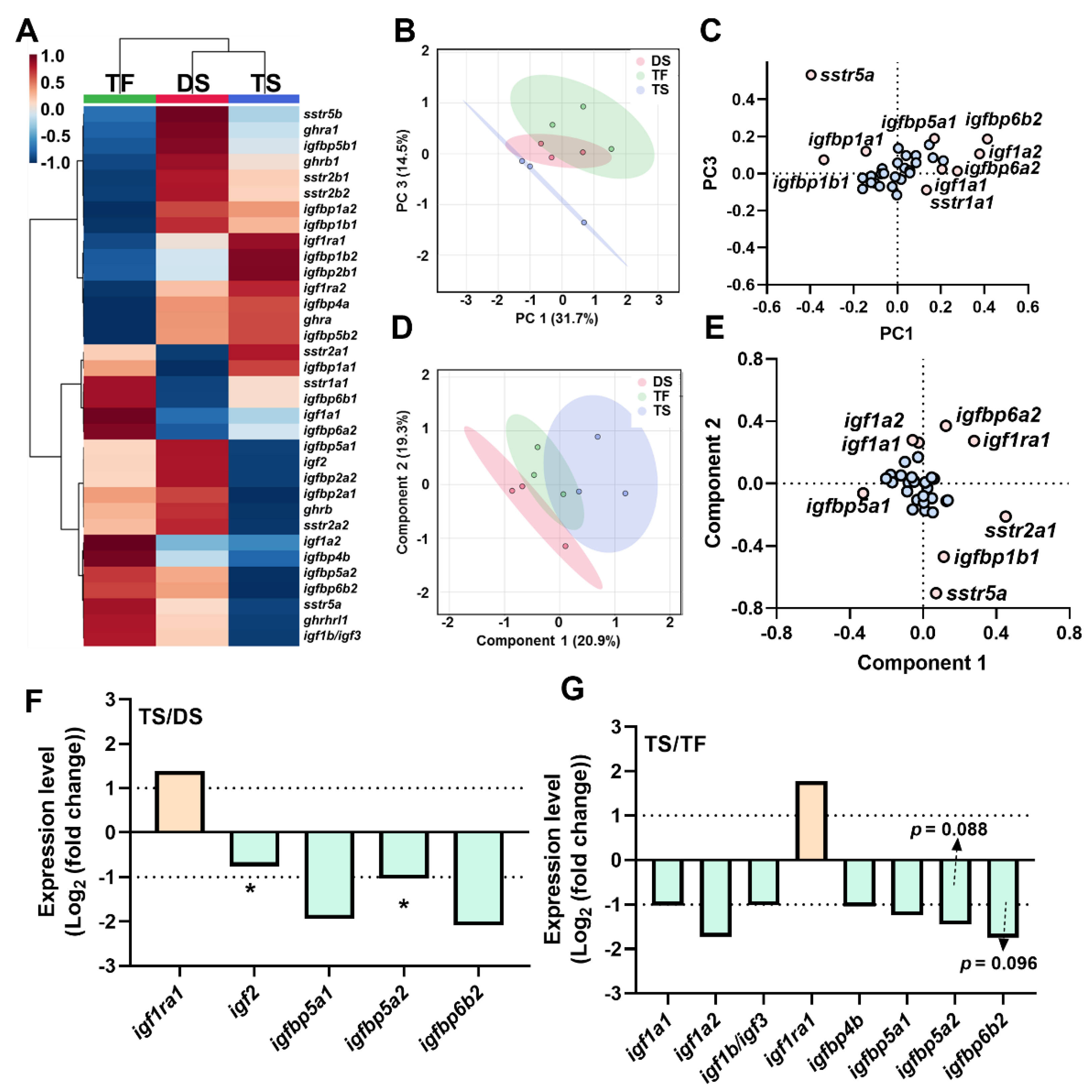 Ijms 23 08691 g004 Ijms 23 08691 g004