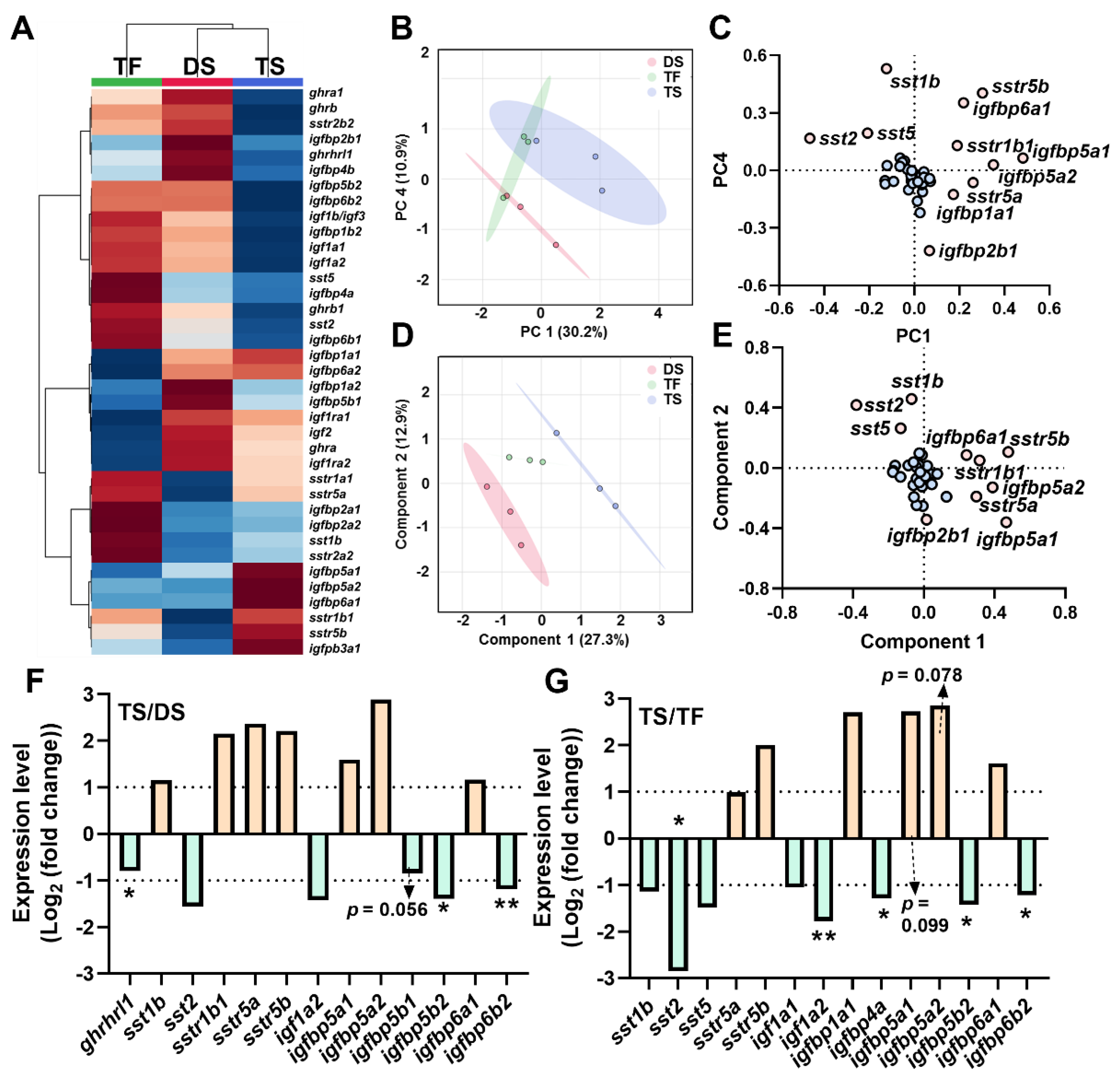 Ijms 23 08691 g005 Ijms 23 08691 g005