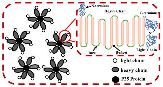 IJMS | Free Full-Text | Recent Research Progress of Ionic Liquid 