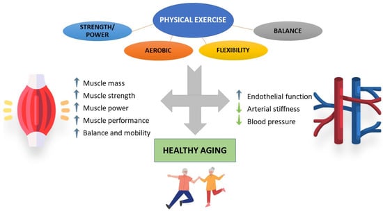 Strength Training Can Change The Trajectory of Physical Decline