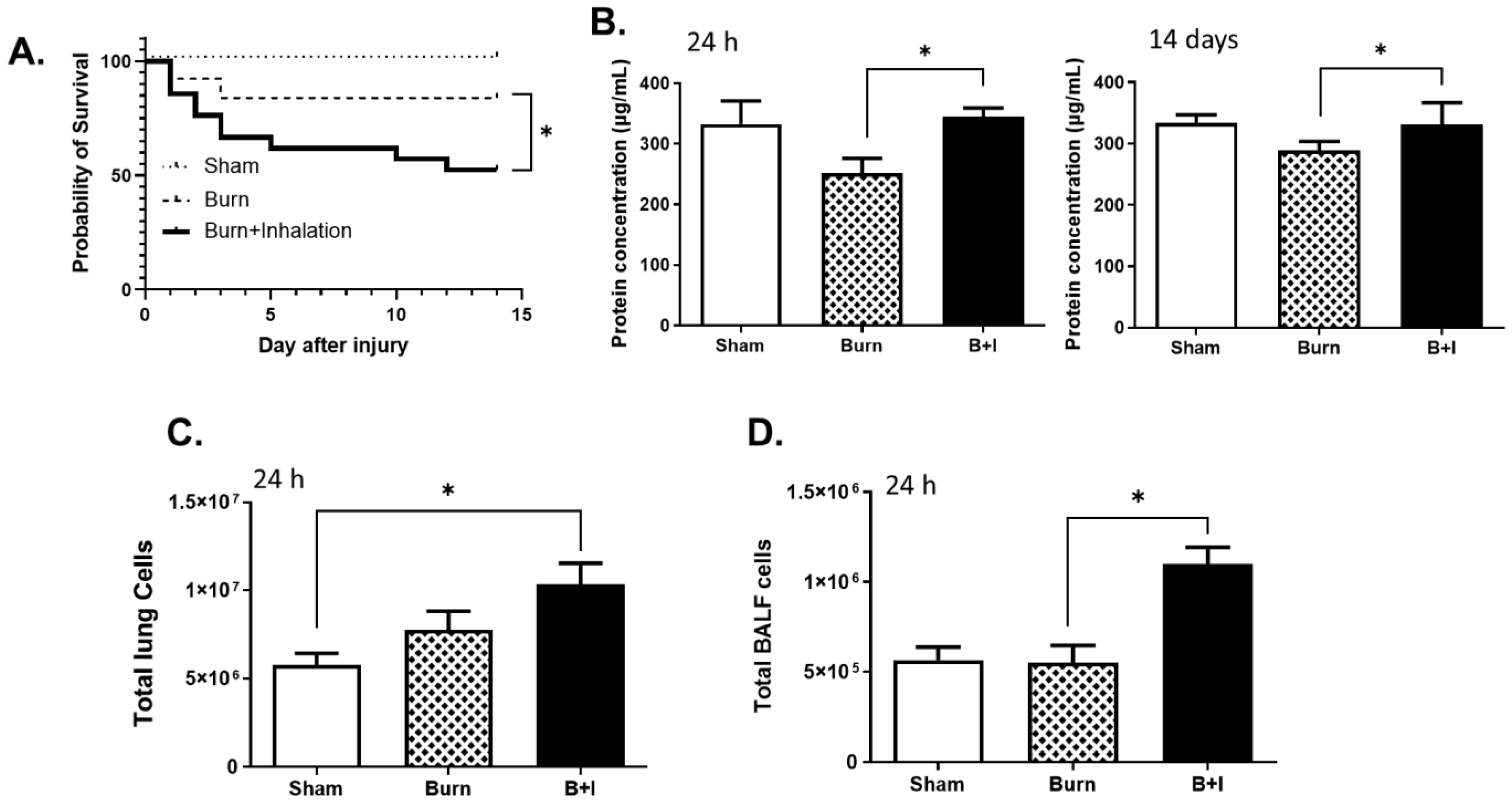 IJMS | Free Full-Text | Characterization of the Basal and mTOR-Dependent  Acute Pulmonary and Systemic Immune Response in a Murine Model of Combined  Burn and Inhalation Injury