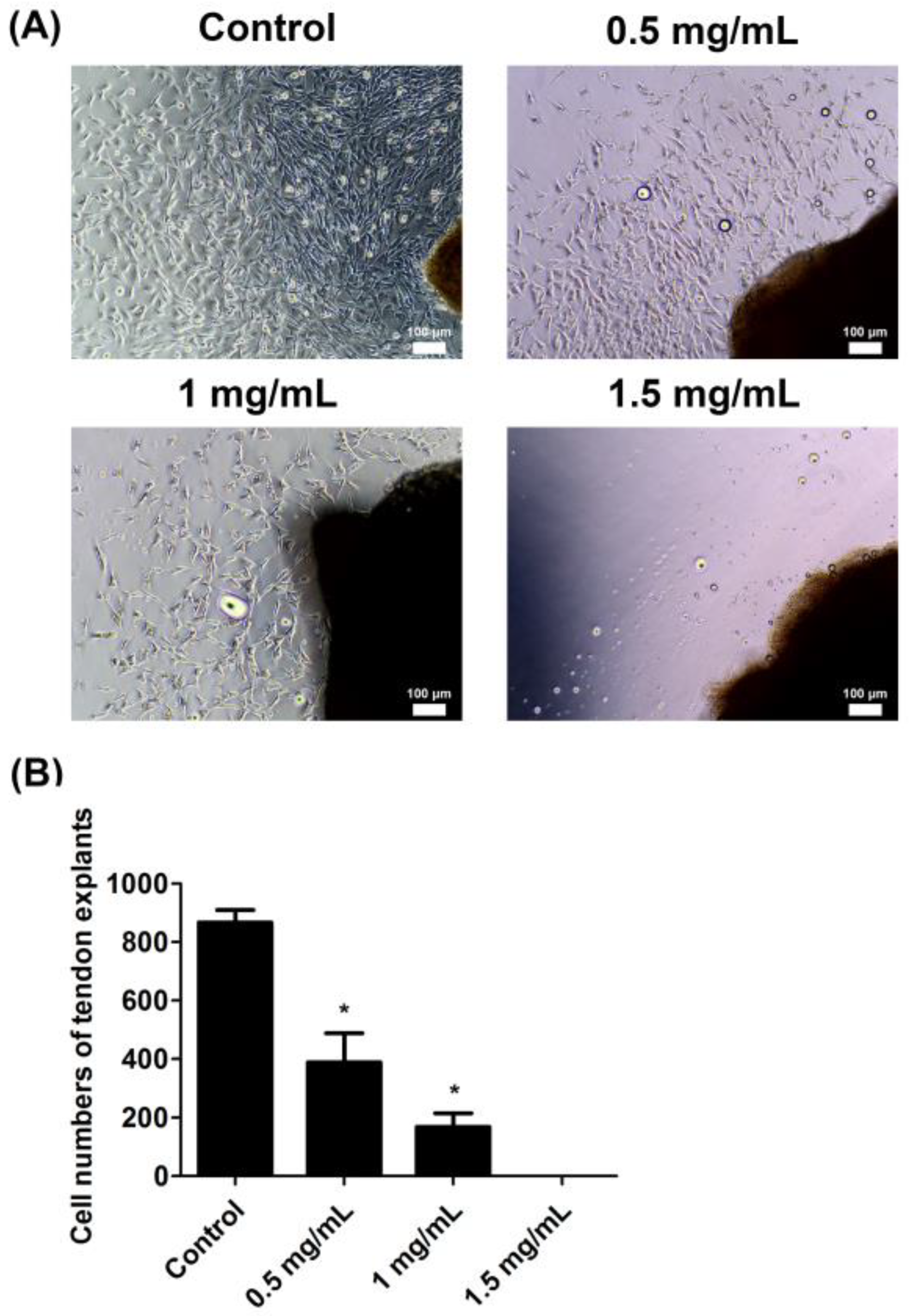Ijms 23 08787 g001 Ijms 23 08787 g001