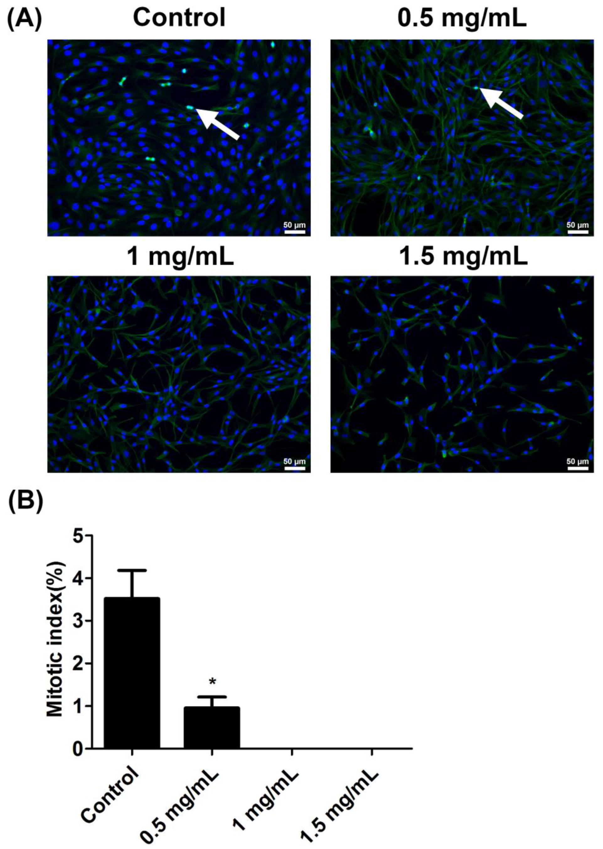 Ijms 23 08787 g004 Ijms 23 08787 g004