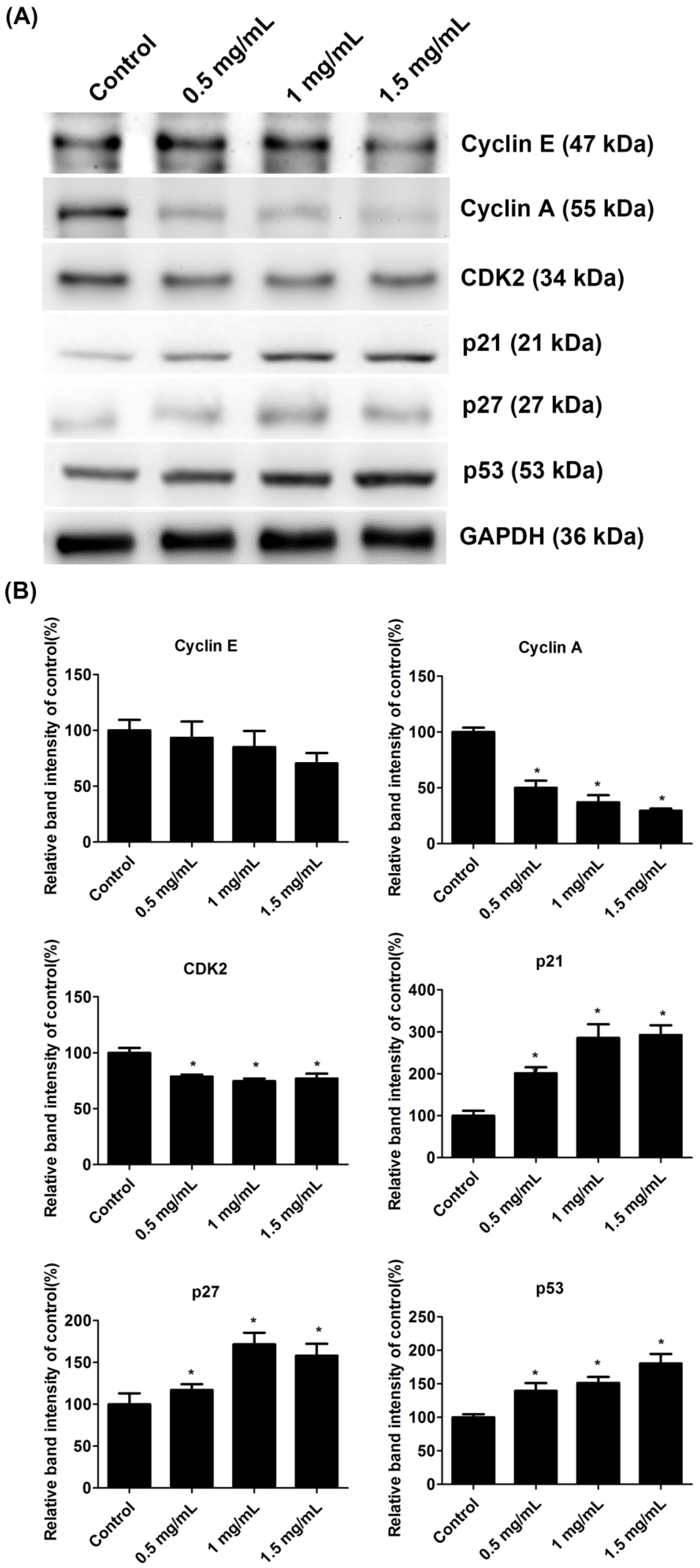 Ijms 23 08787 g005 Ijms 23 08787 g005