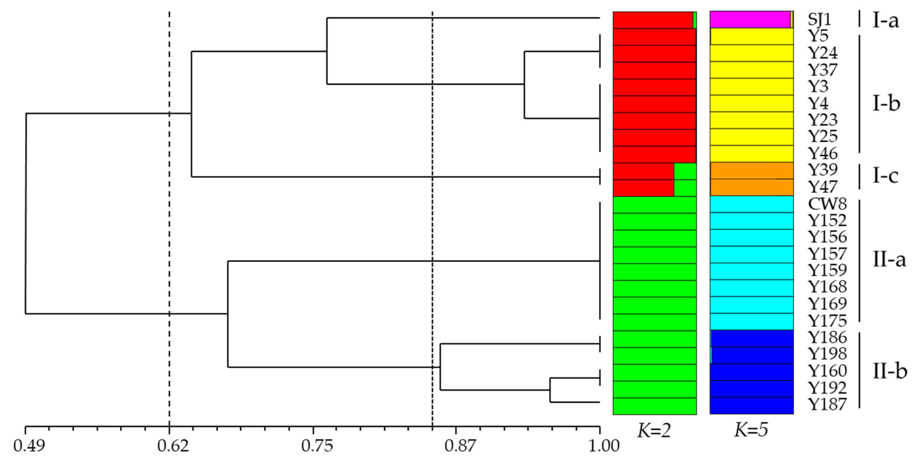 Ijms 23 08793 g002 Ijms 23 08793 g002