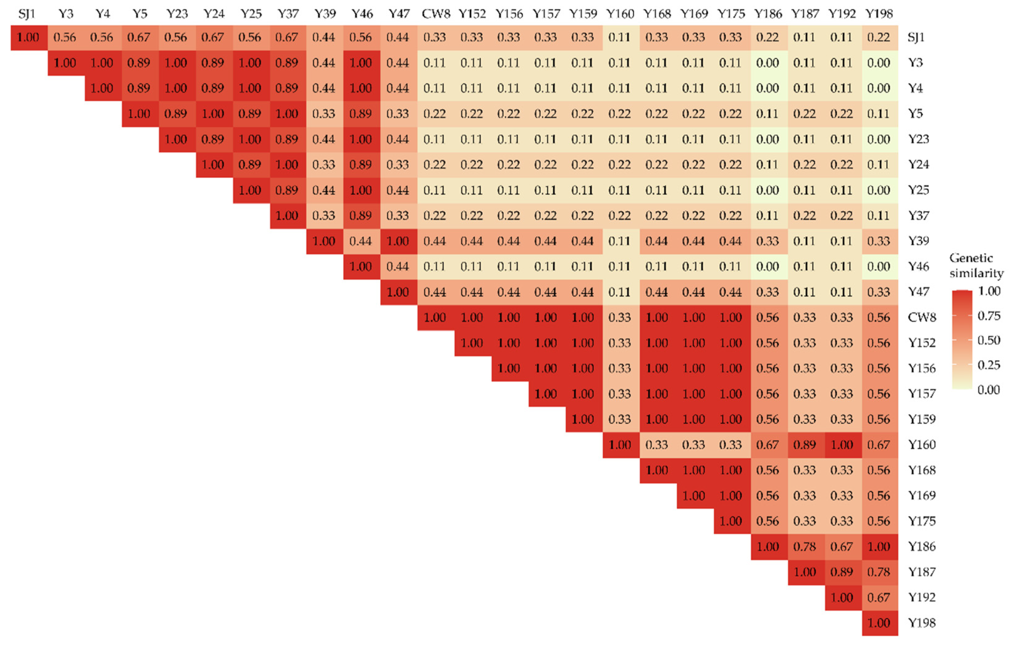 Ijms 23 08793 g003 Ijms 23 08793 g003