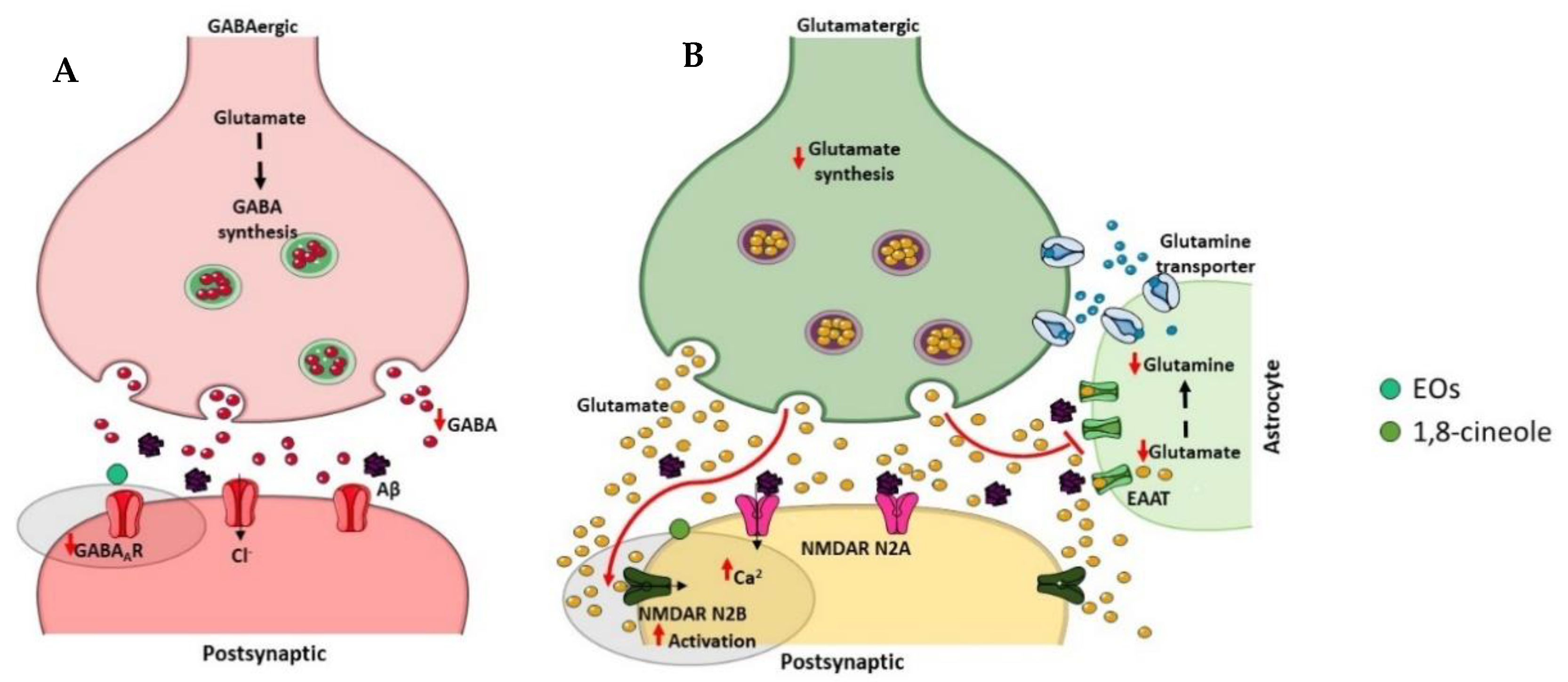 Ijms 23 08812 g007 Ijms 23 08812 g007