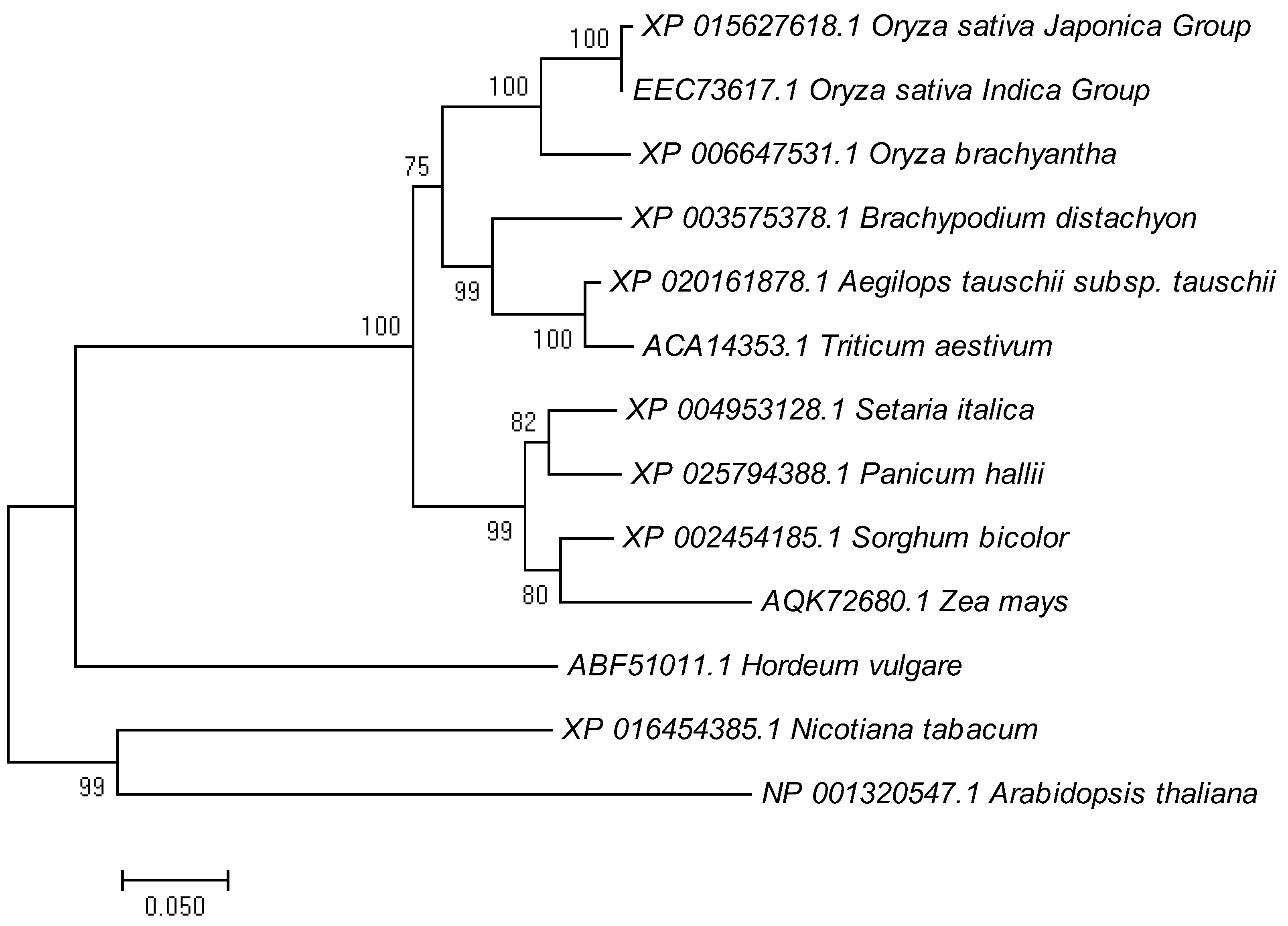Ijms 23 08818 g006 Ijms 23 08818 g006