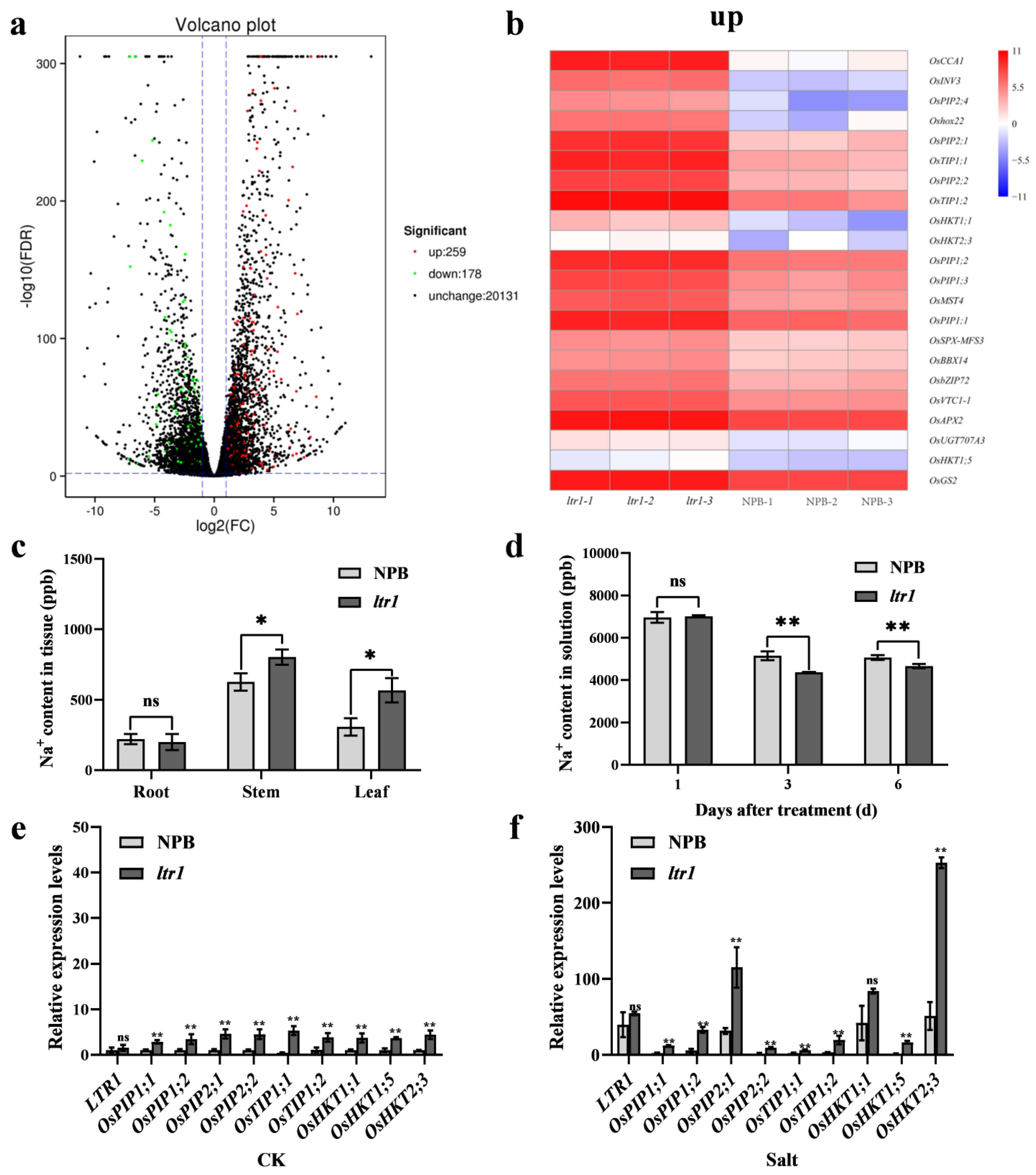 Ijms 23 08818 g007 Ijms 23 08818 g007