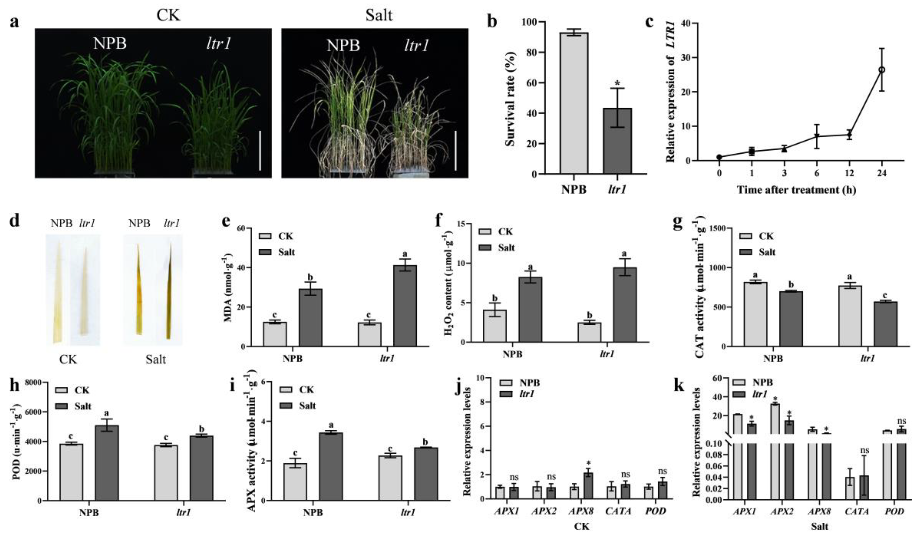 Ijms 23 08818 g008 Ijms 23 08818 g008