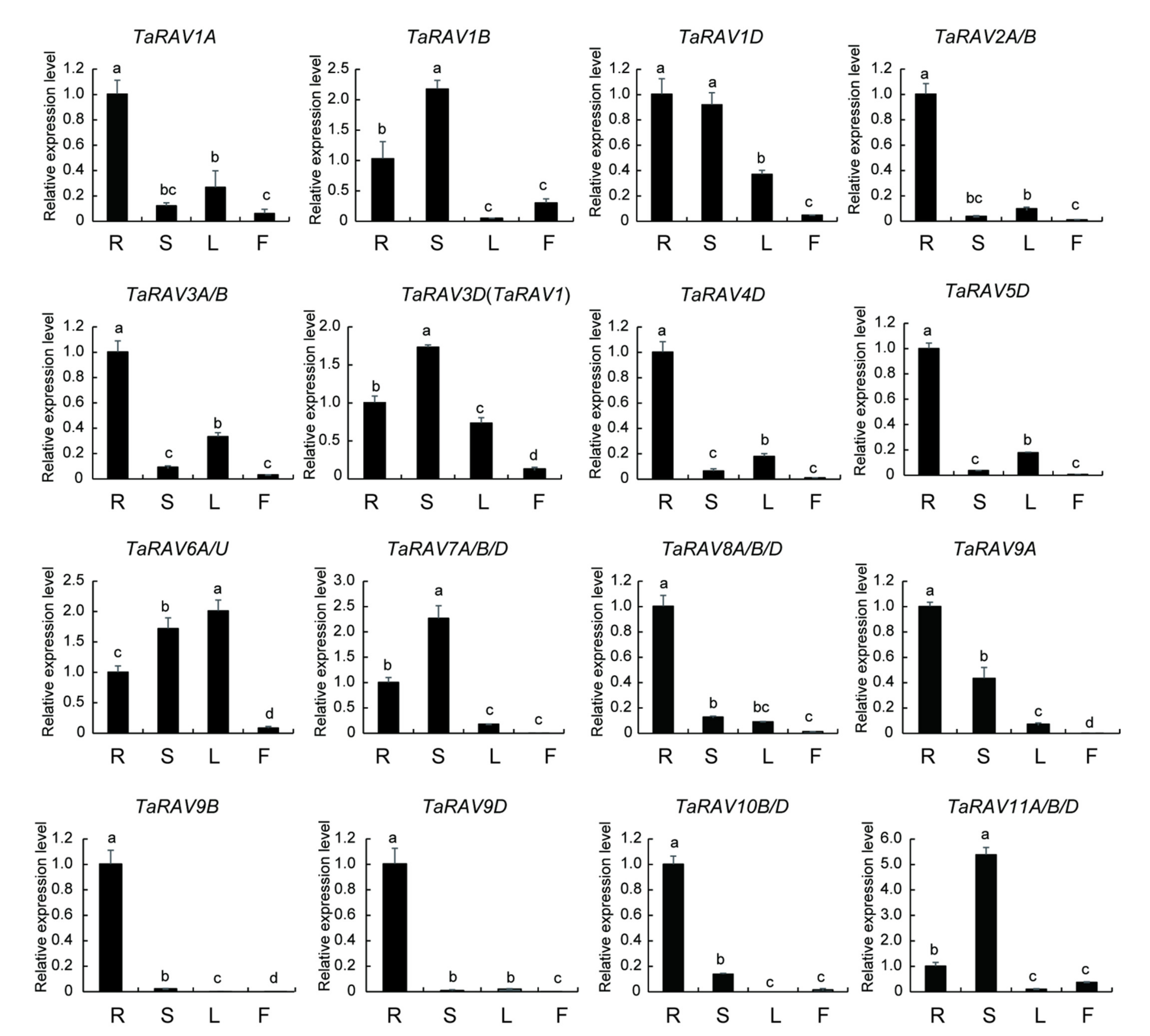 Leaf rust resistance genes in wheat фото 70