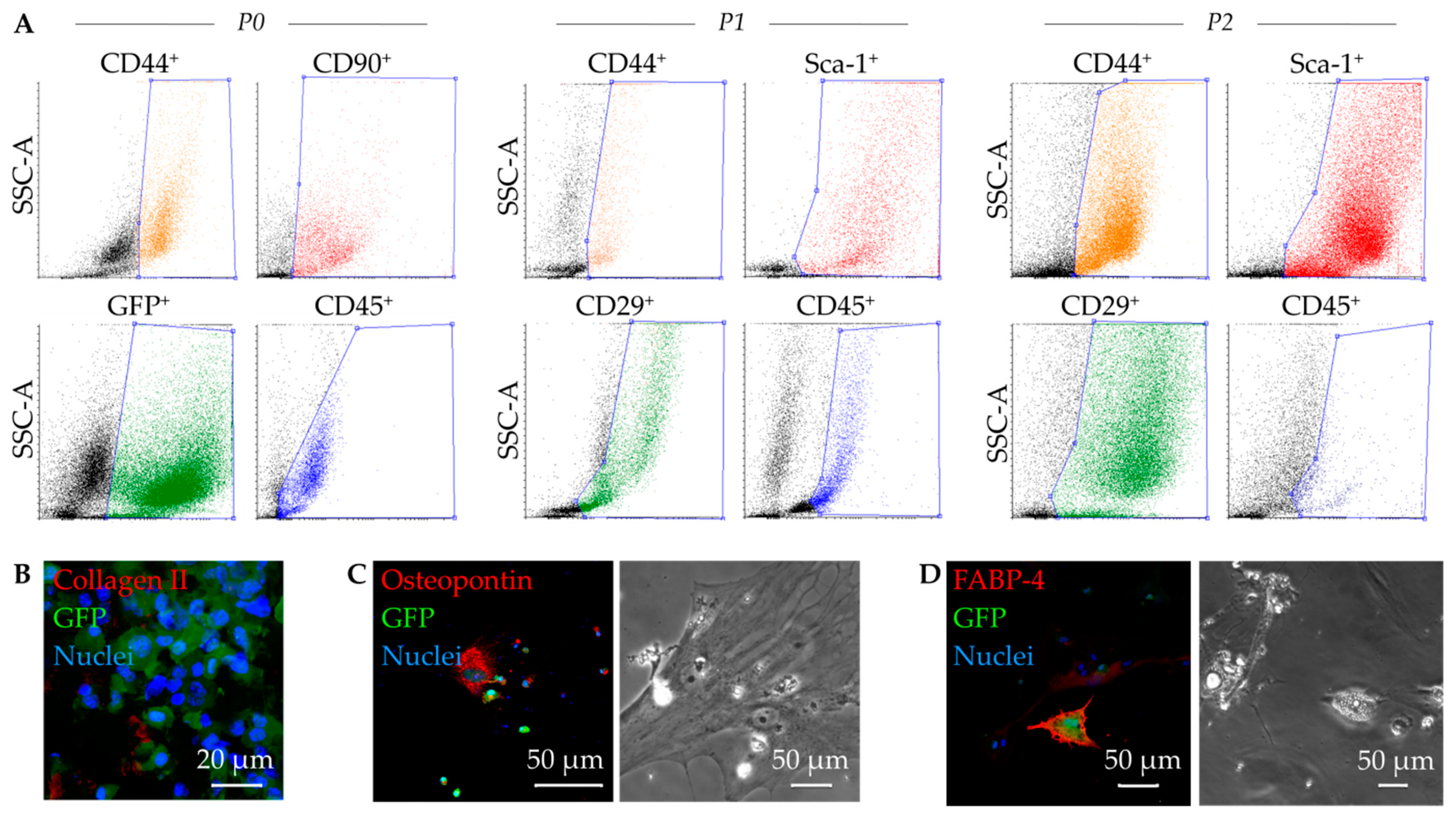 https://www.mdpi.com/ijms/ijms-23-08843/article_deploy/html/images/ijms-23-08843-g001.png