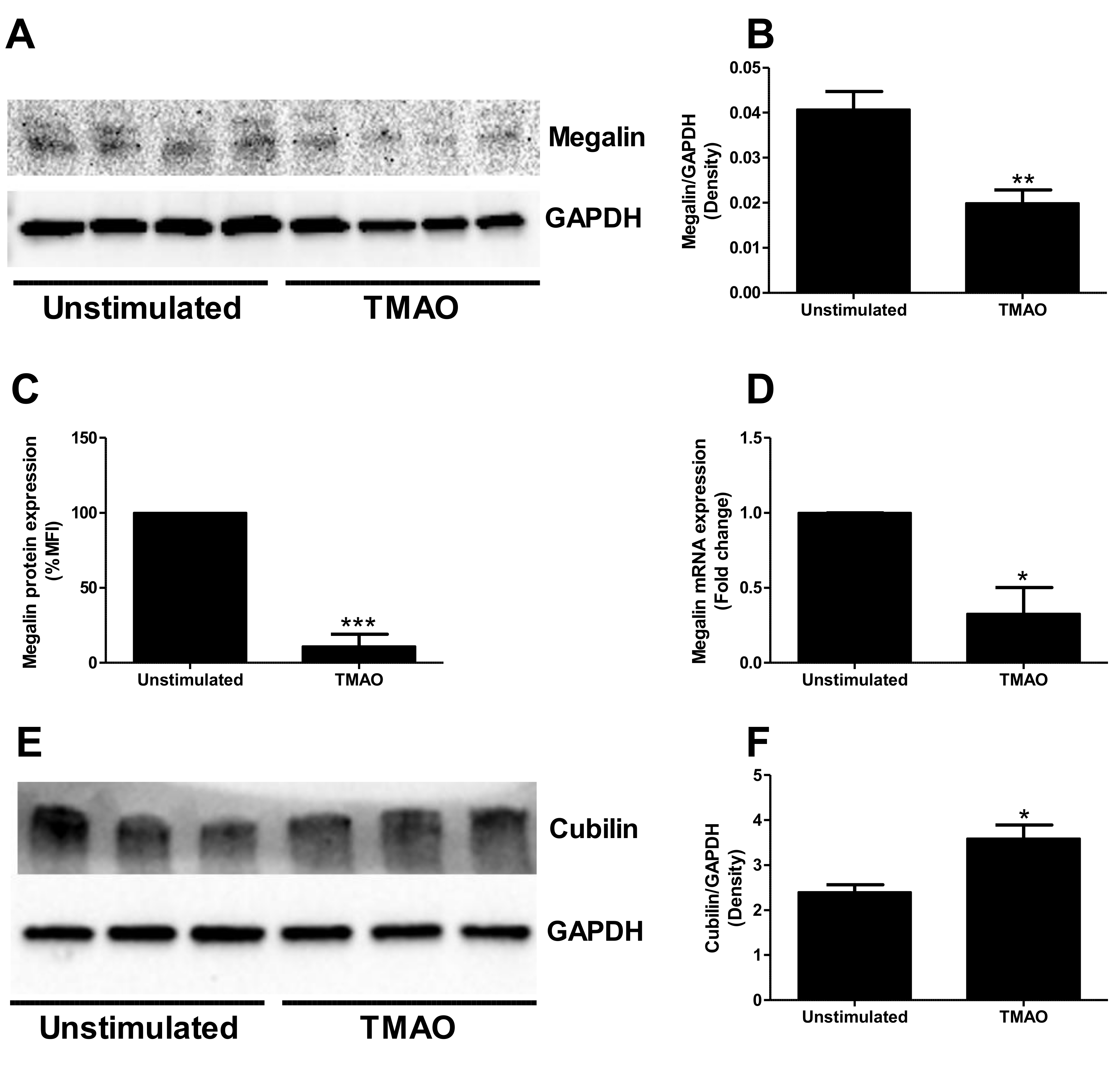 Ijms 23 08856 g003 Ijms 23 08856 g003