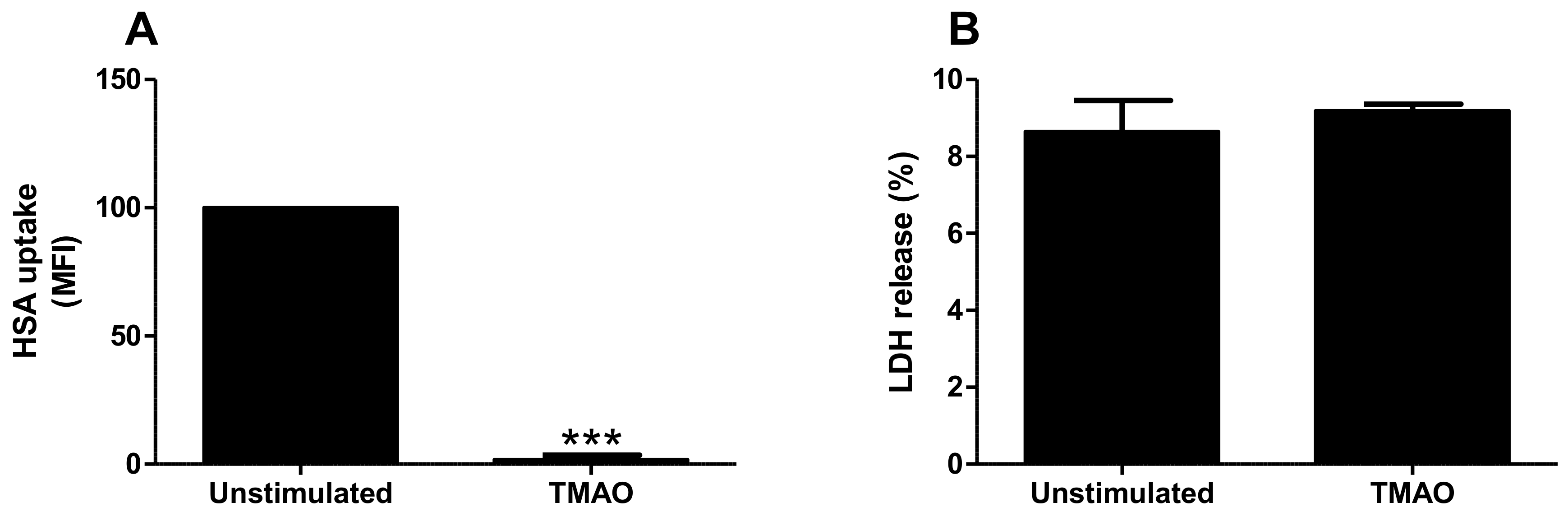 Ijms 23 08856 g004 Ijms 23 08856 g004