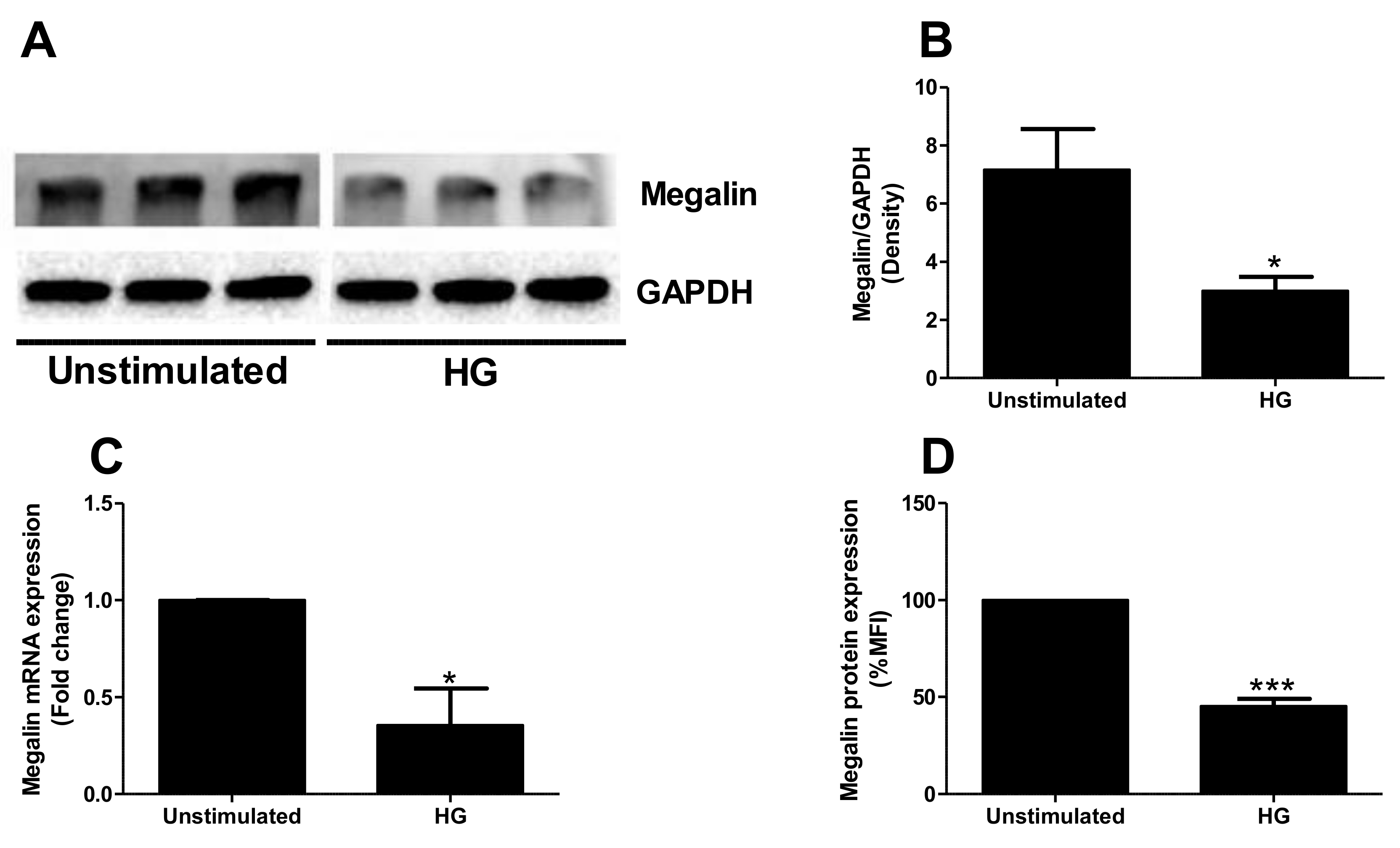 Ijms 23 08856 g005a Ijms 23 08856 g005a