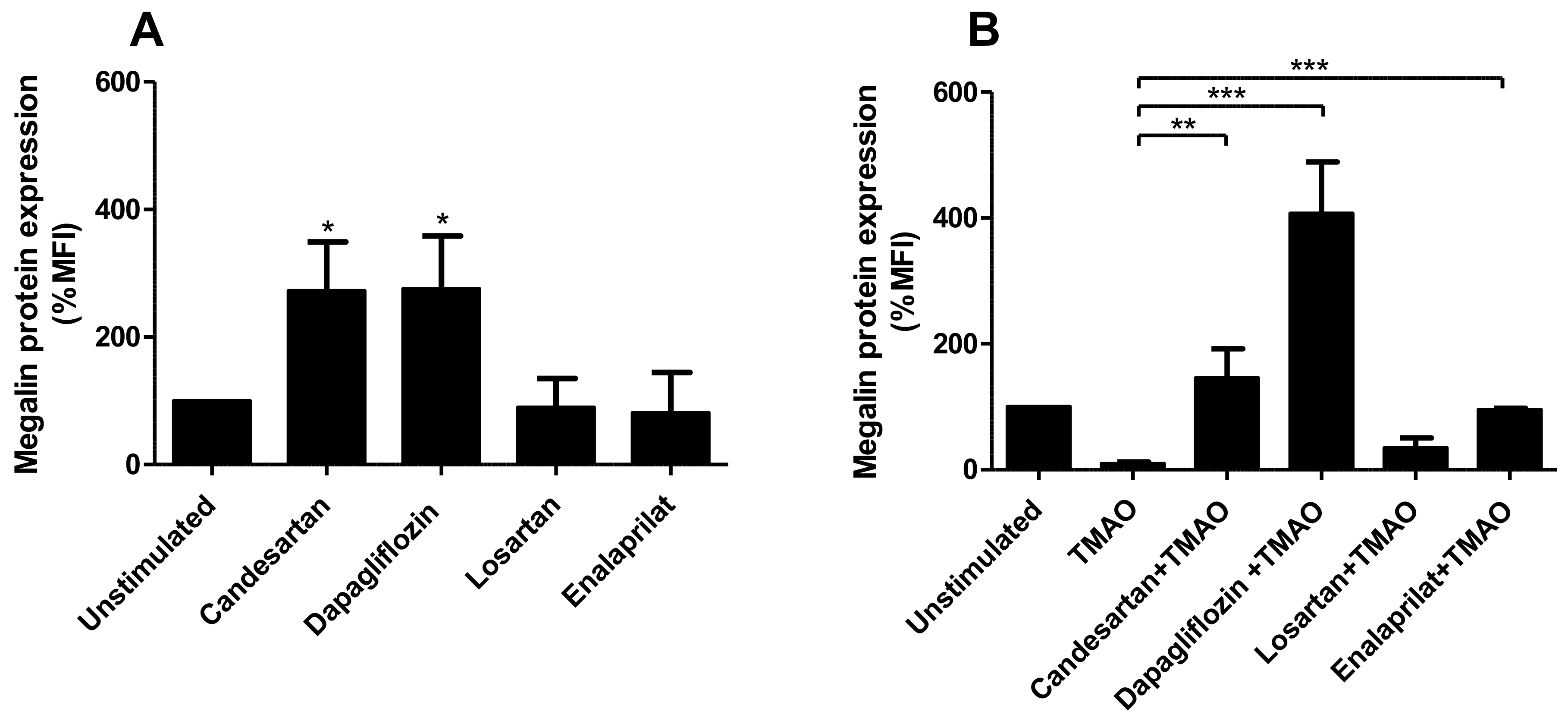 Ijms 23 08856 g007 Ijms 23 08856 g007