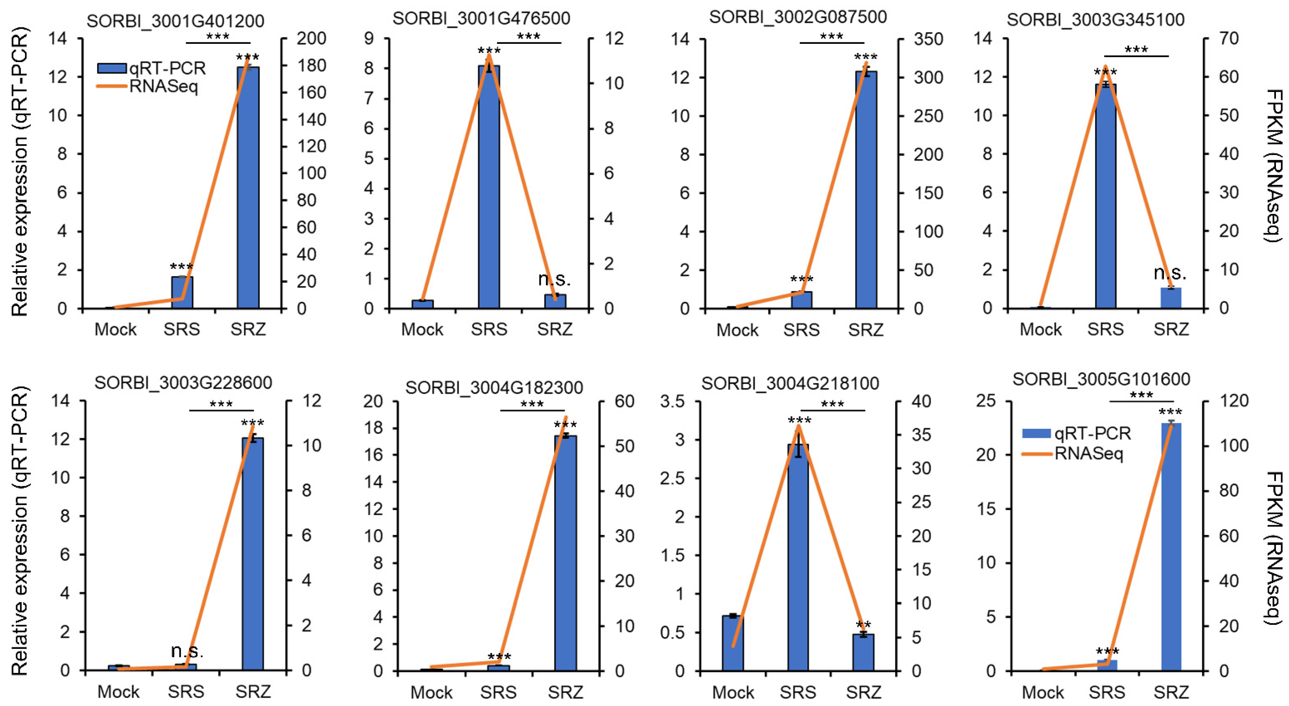 Ijms 23 08864 g002 Ijms 23 08864 g002