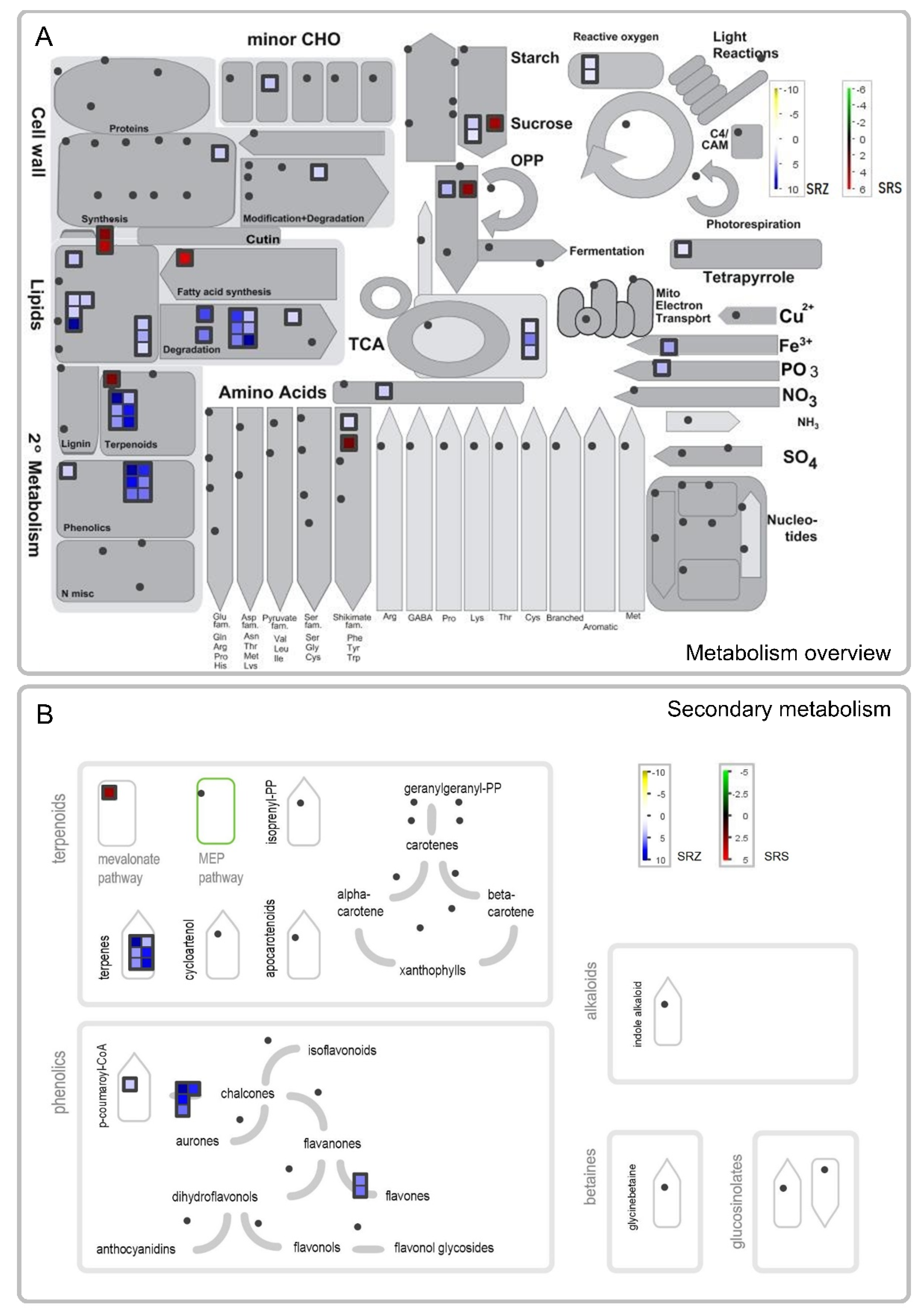 Ijms 23 08864 g006 Ijms 23 08864 g006