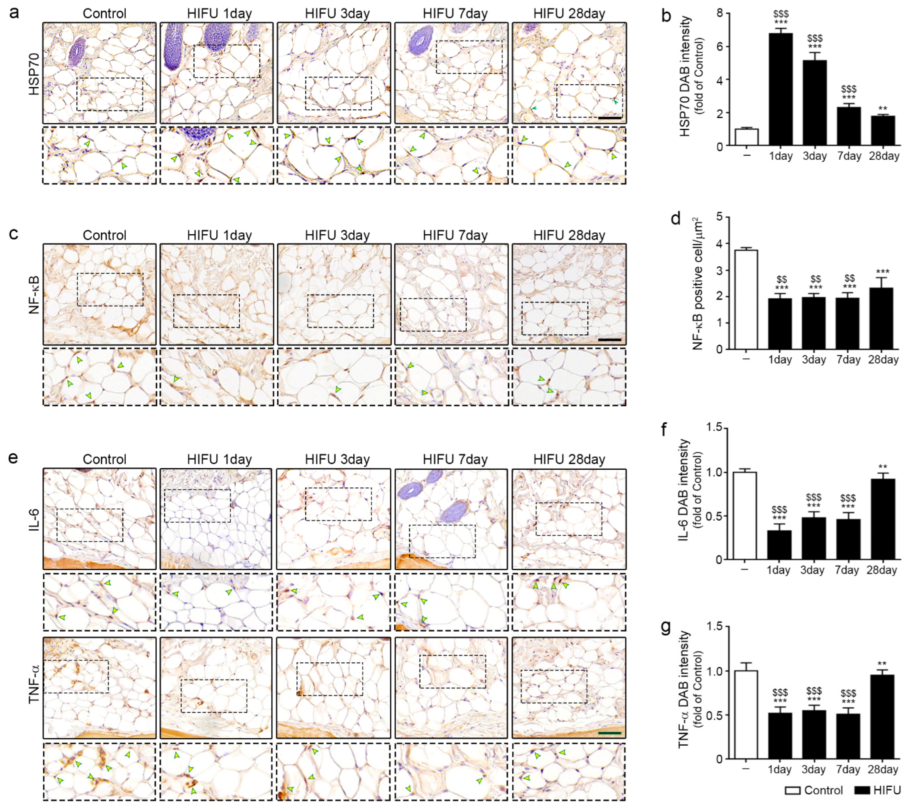 Ijms 23 08866 g001 Ijms 23 08866 g001