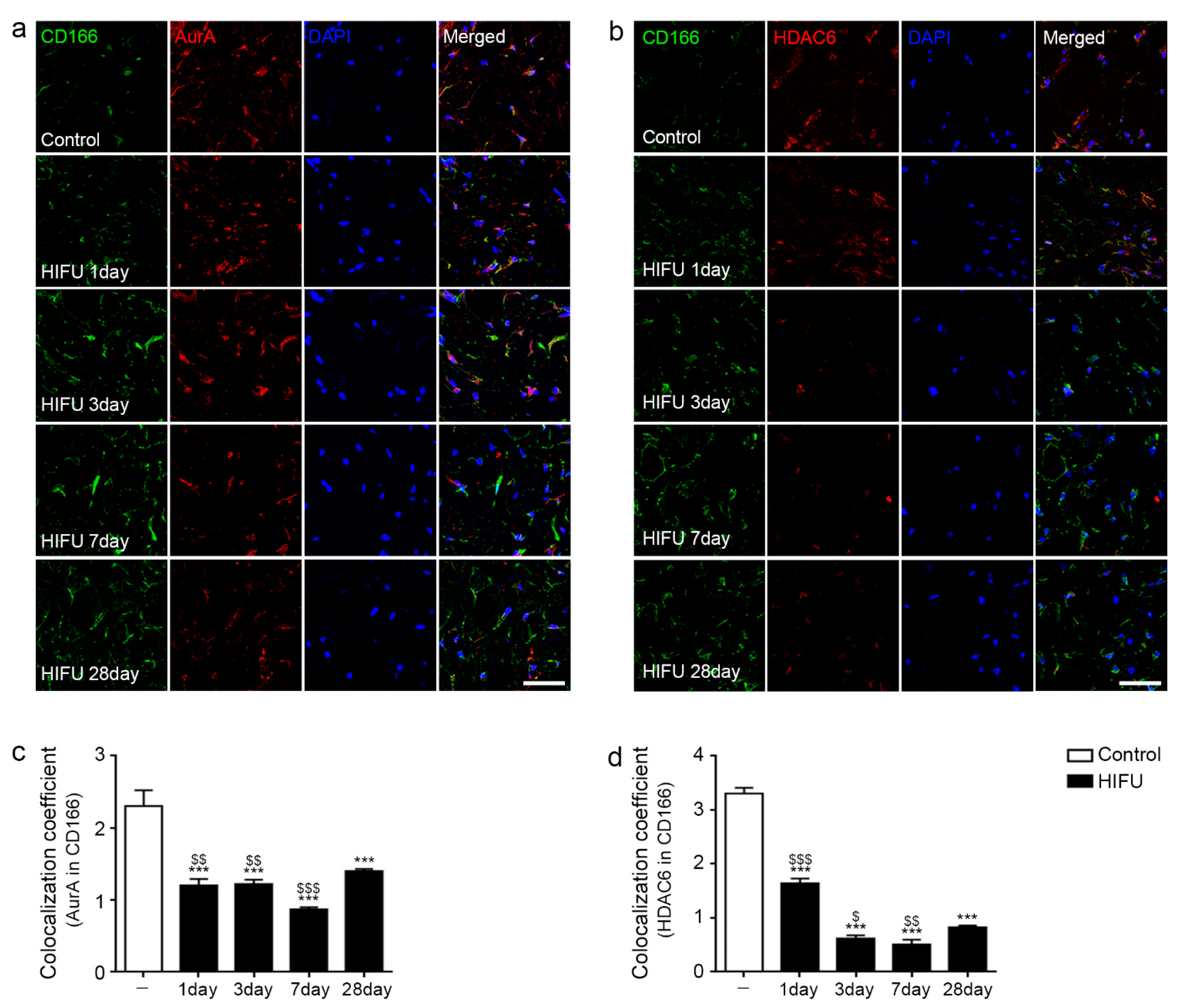 Ijms 23 08866 g002 Ijms 23 08866 g002