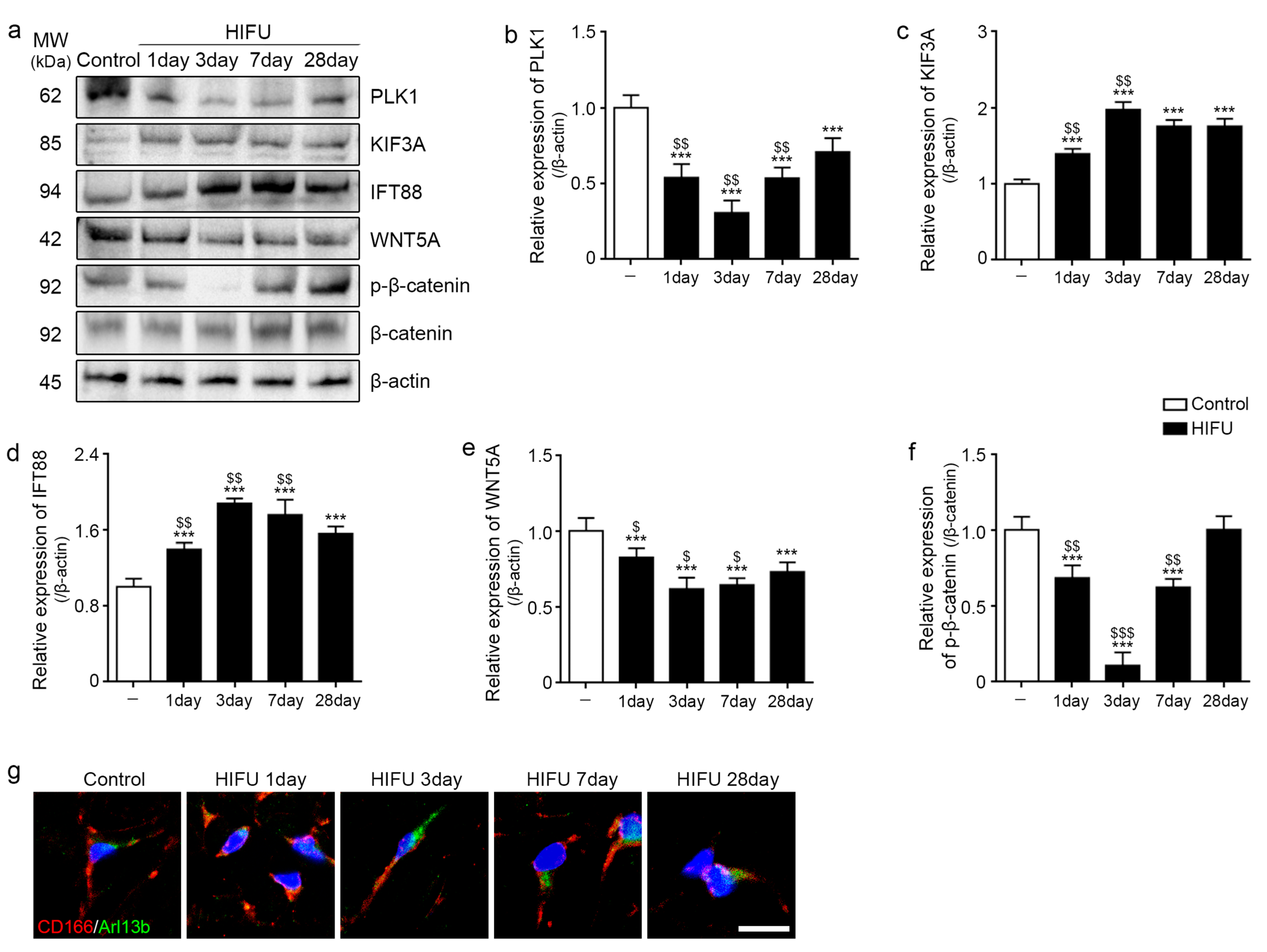 Ijms 23 08866 g003 Ijms 23 08866 g003