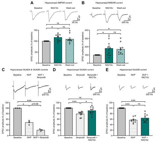 File:Neuromuscular electrical stimulation promoted brain plasticity.jpg -  Wikimedia Commons