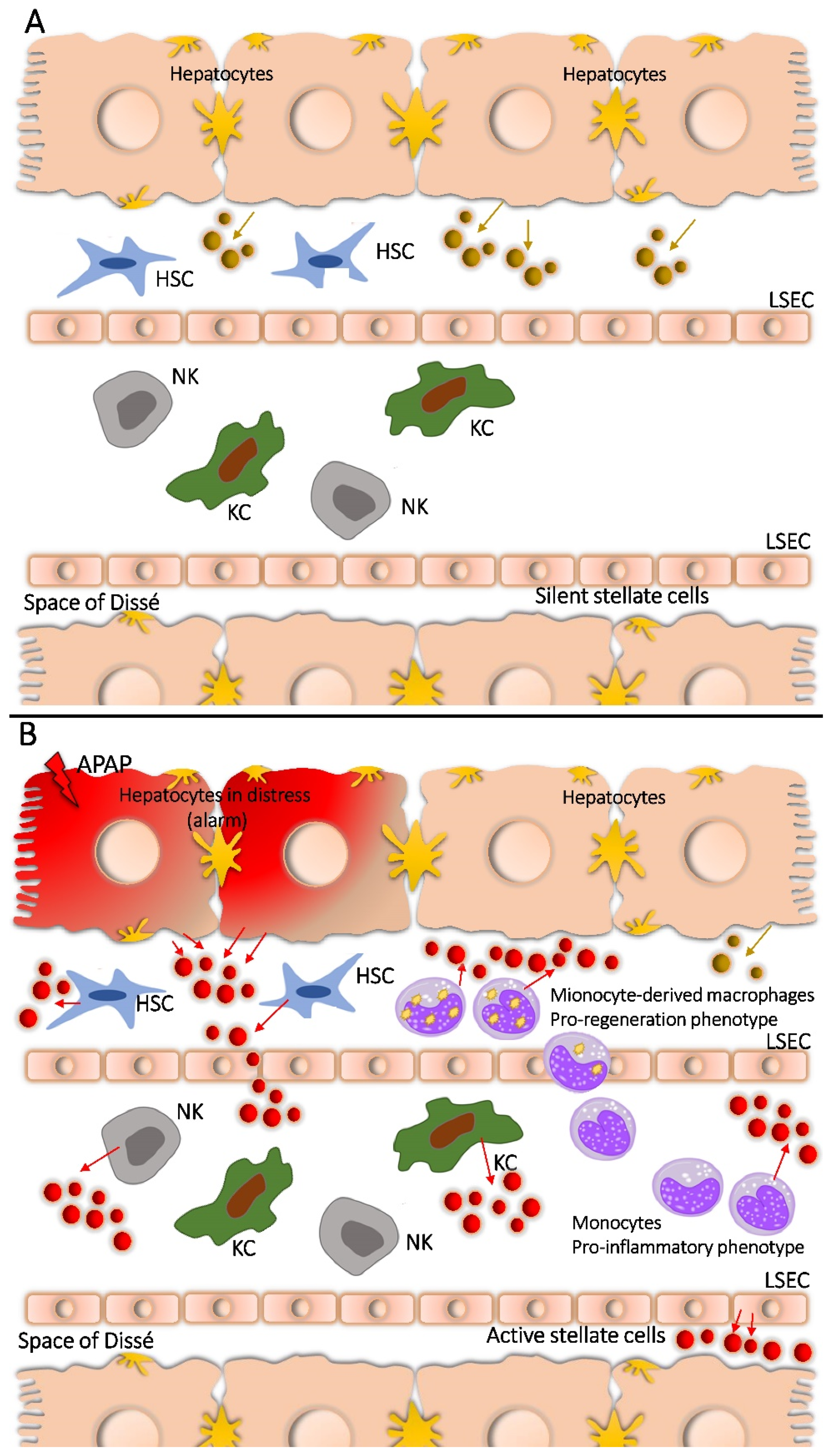 Ijms 23 08870 g004 Ijms 23 08870 g004