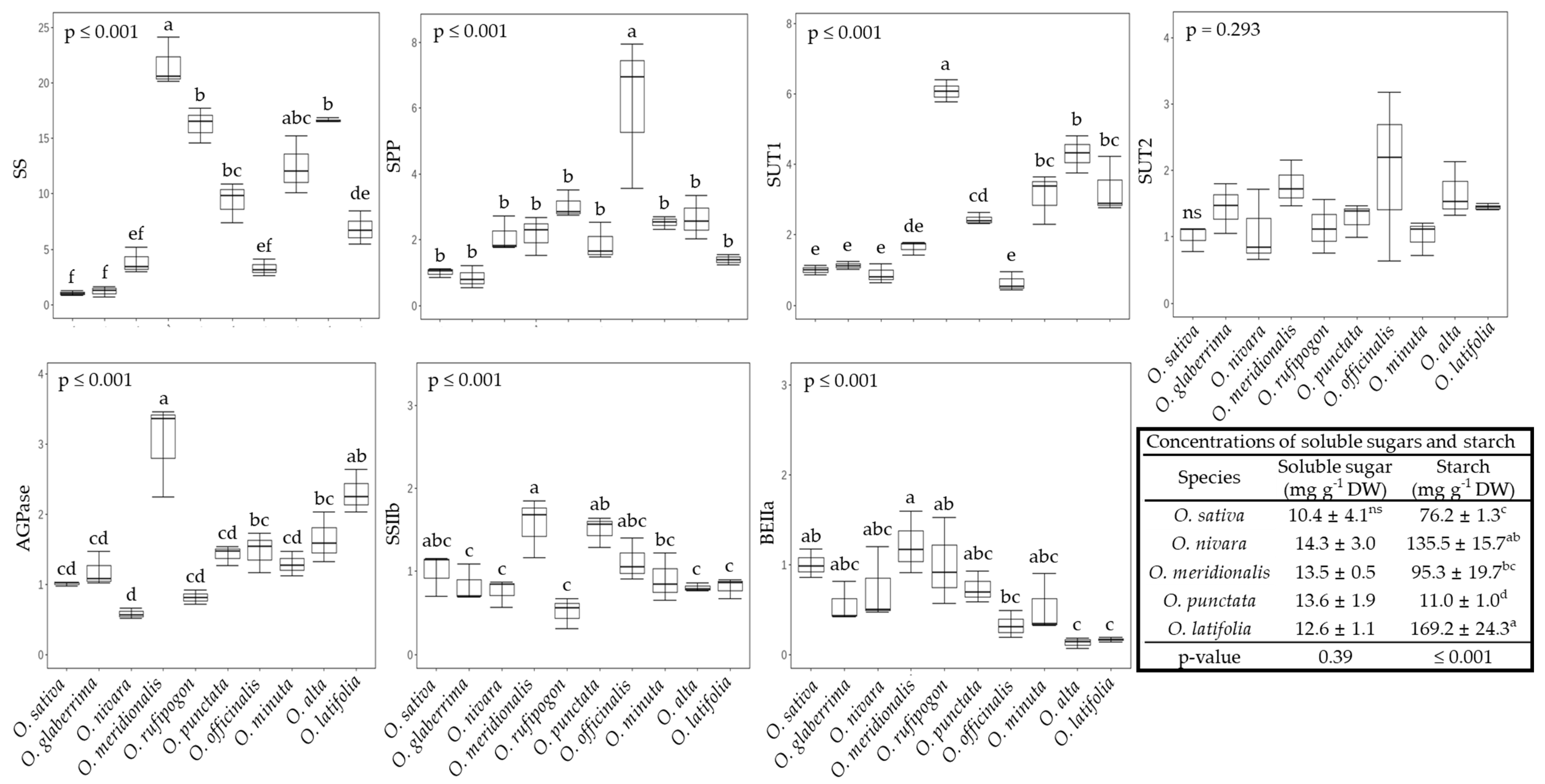 Ijms 23 08901 g005 Ijms 23 08901 g005