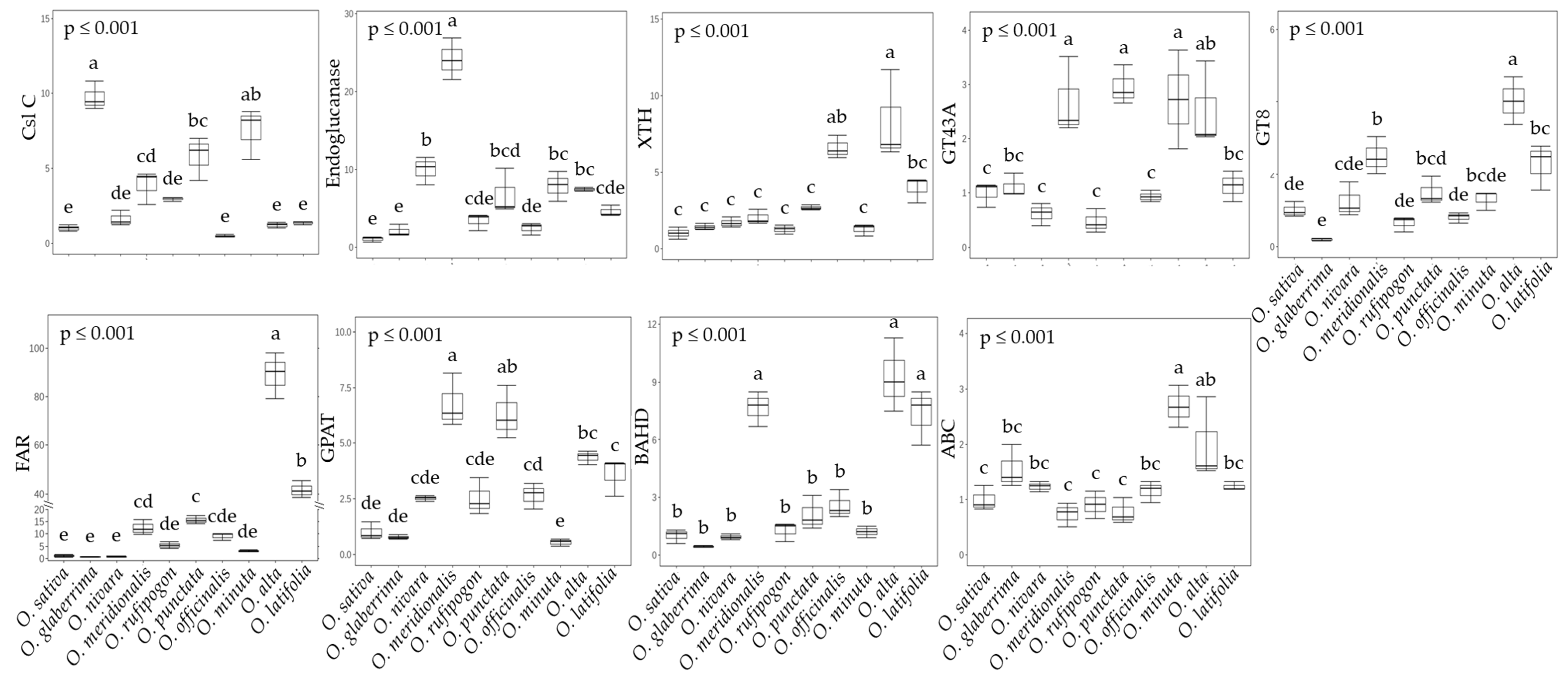 Ijms 23 08901 g006 Ijms 23 08901 g006