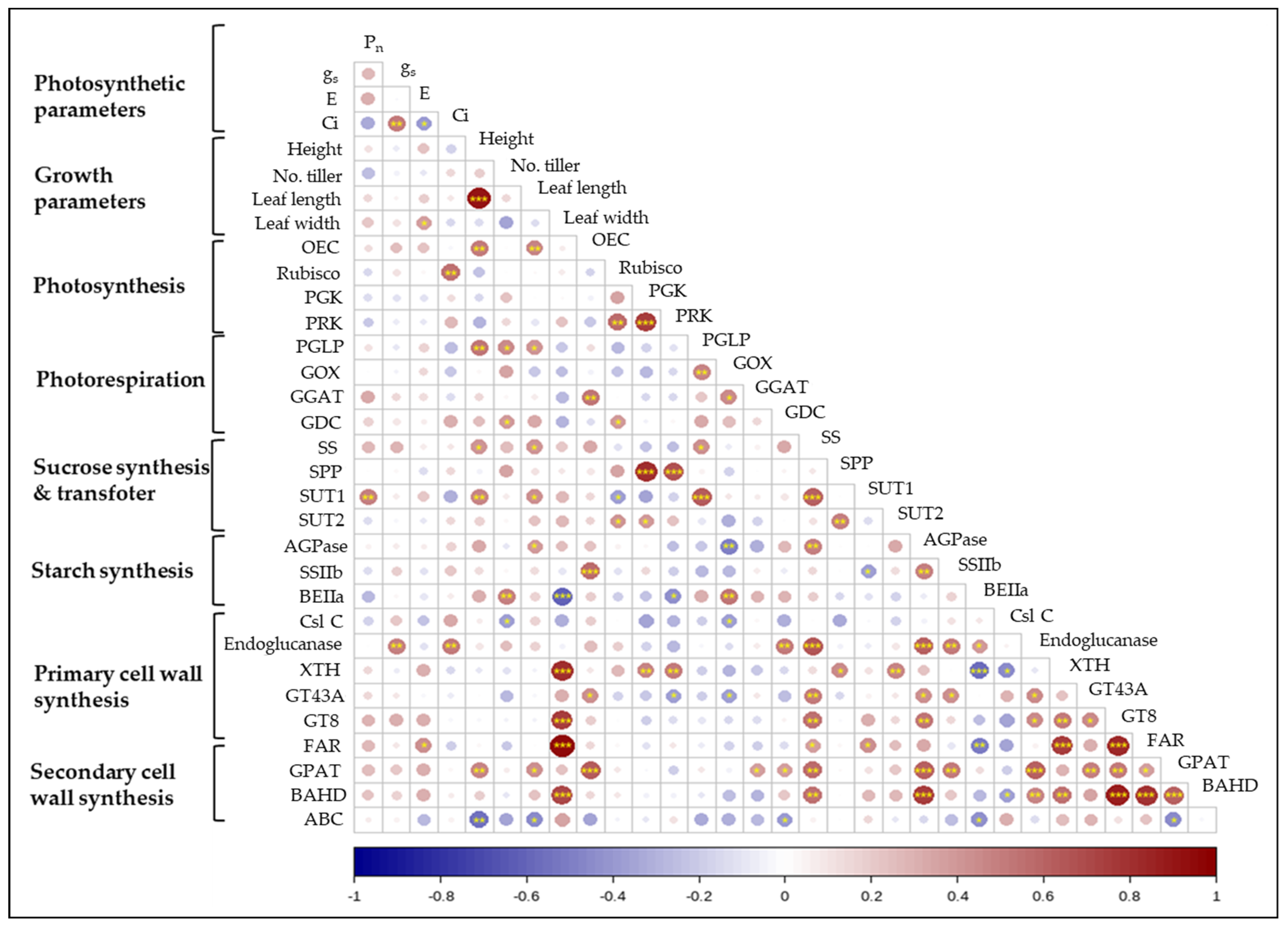 Ijms 23 08901 g007 Ijms 23 08901 g007