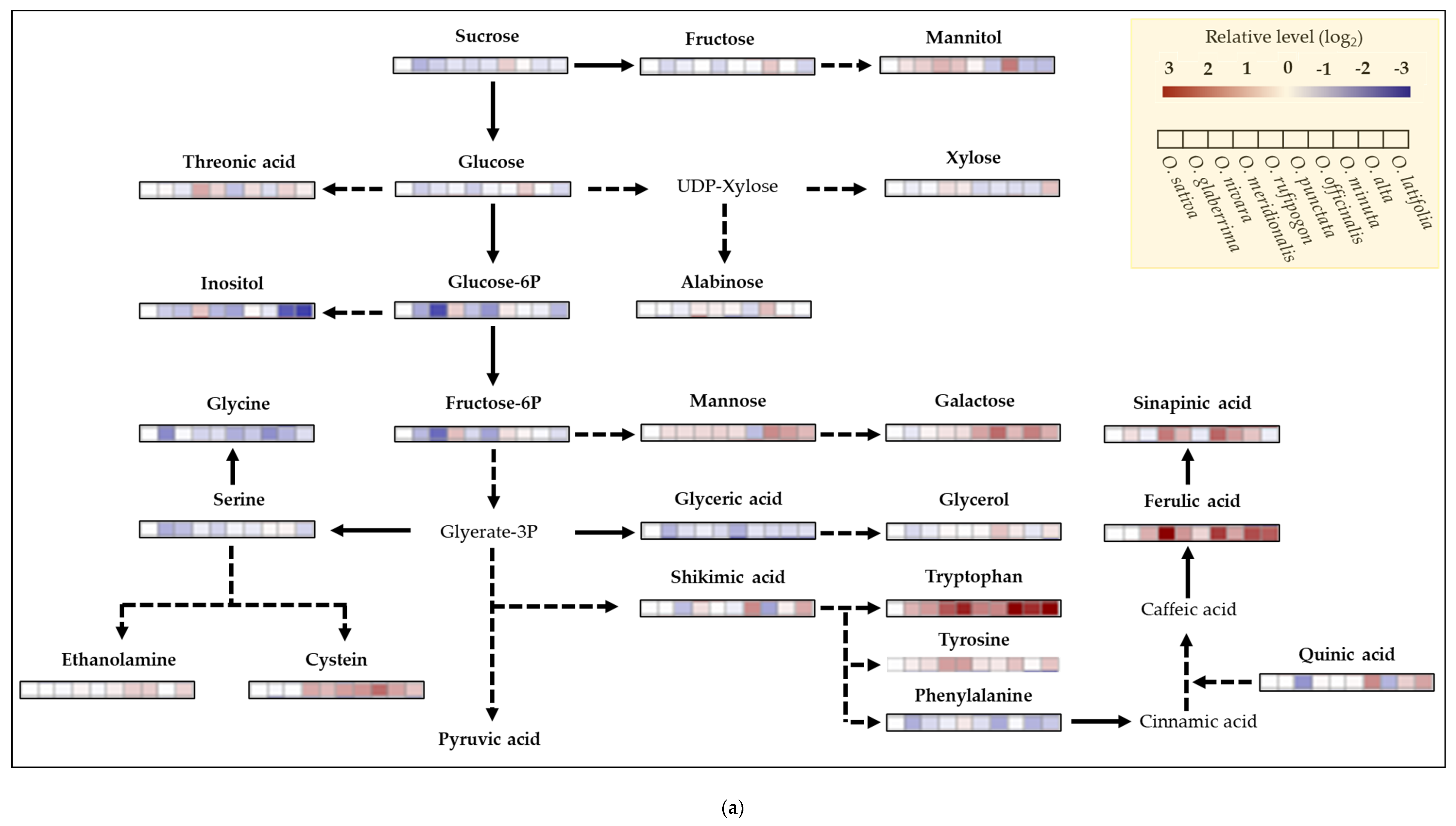 Ijms 23 08901 g008a Ijms 23 08901 g008a