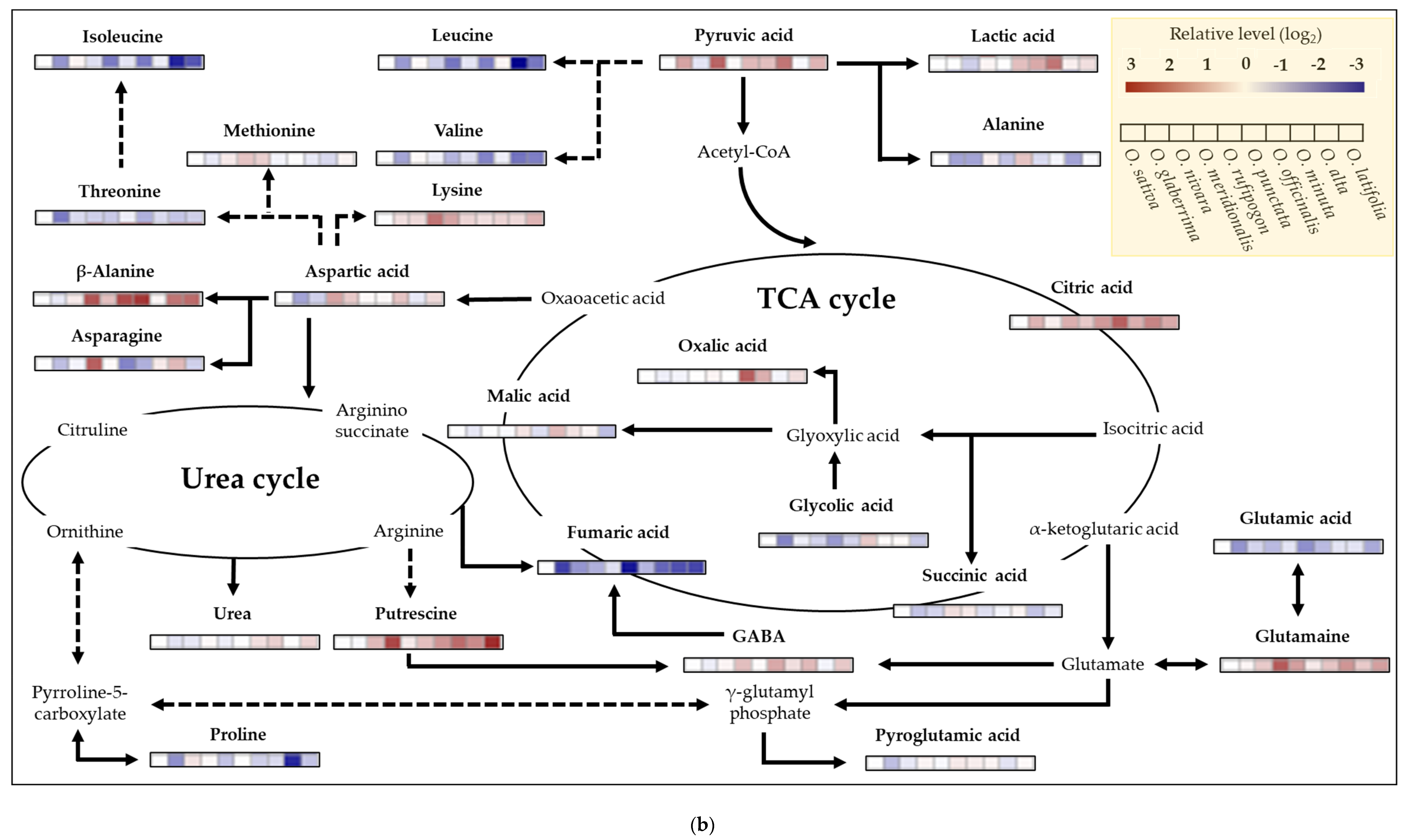 Ijms 23 08901 g008b Ijms 23 08901 g008b