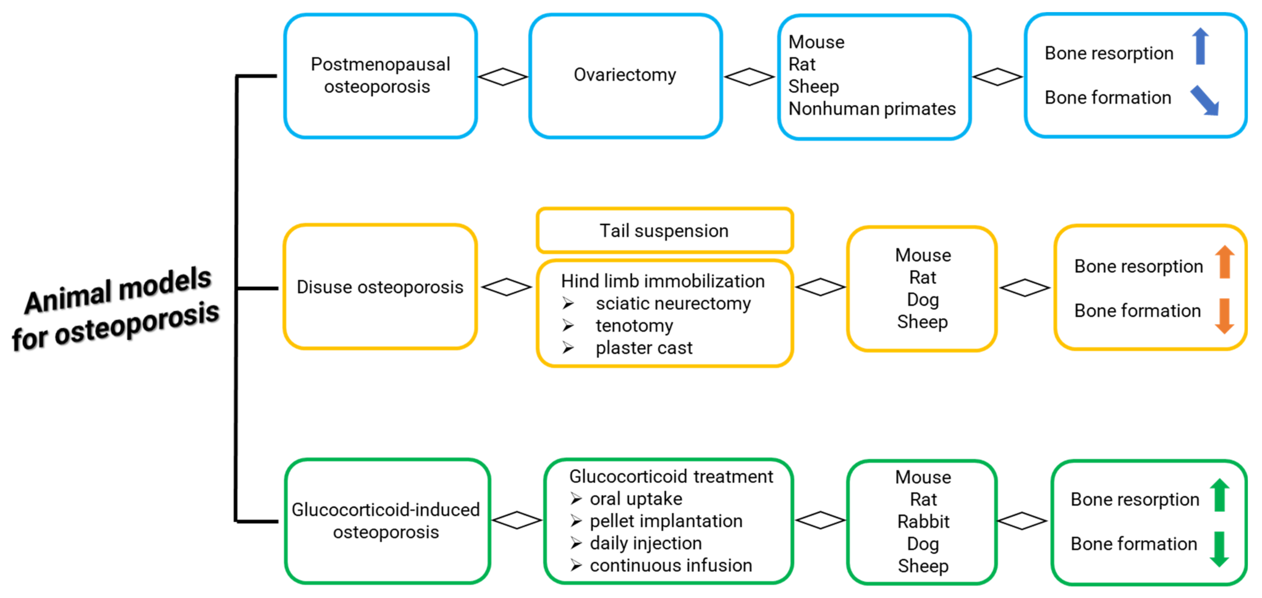 Ijms 23 08904 g001 Ijms 23 08904 g001