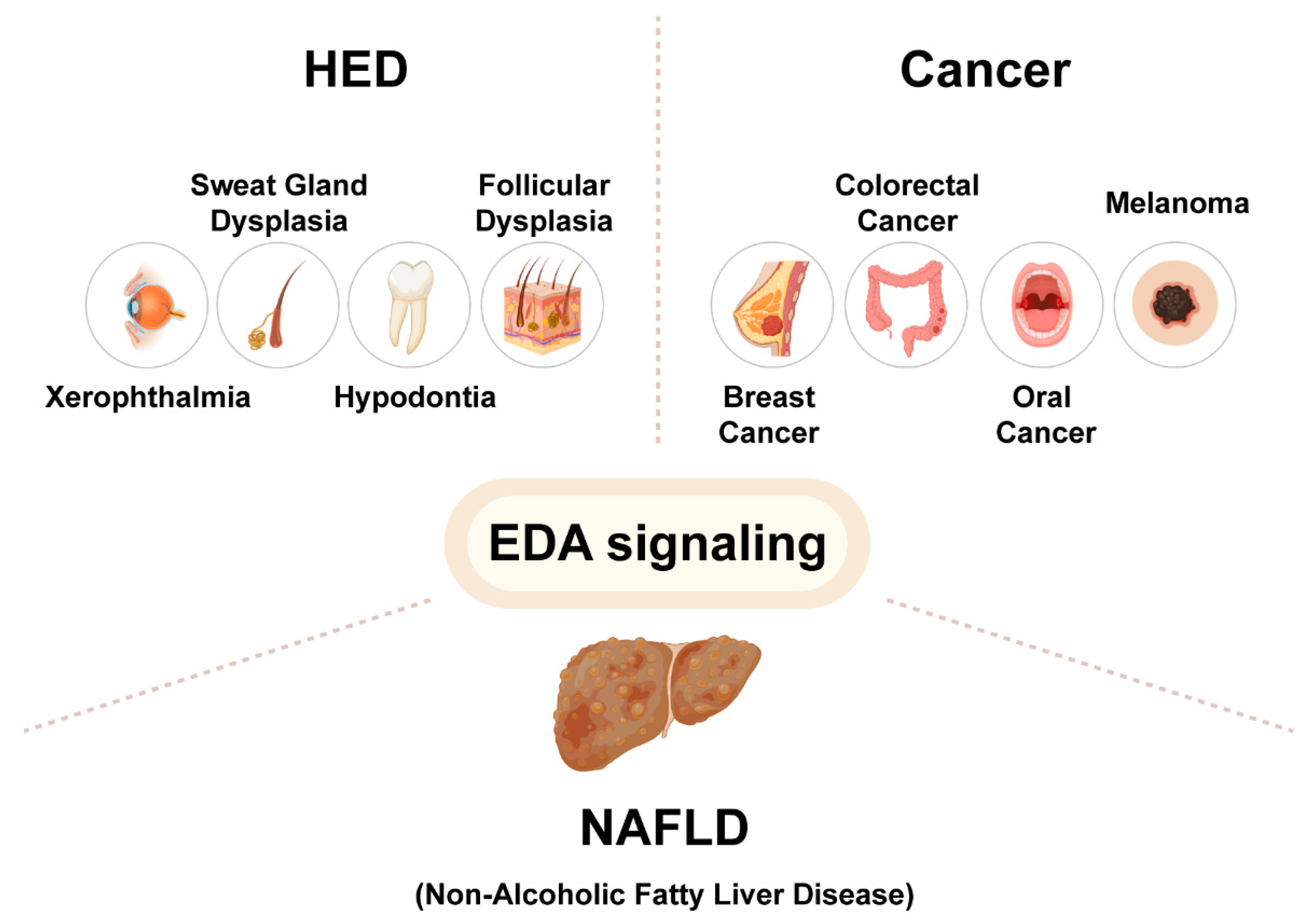 Ijms 23 08911 g002 Ijms 23 08911 g002