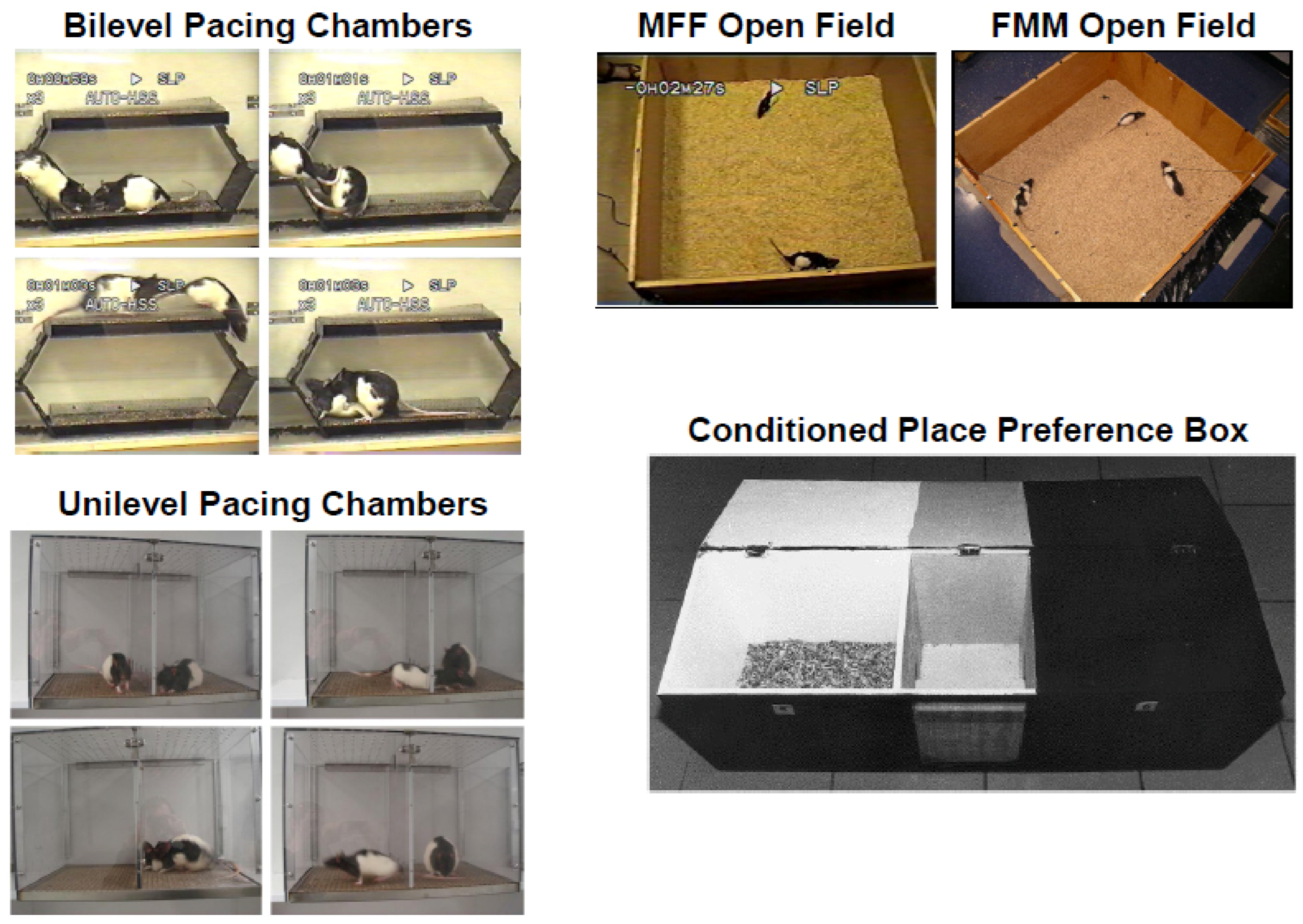 Ijms 23 08928 g003 Ijms 23 08928 g003