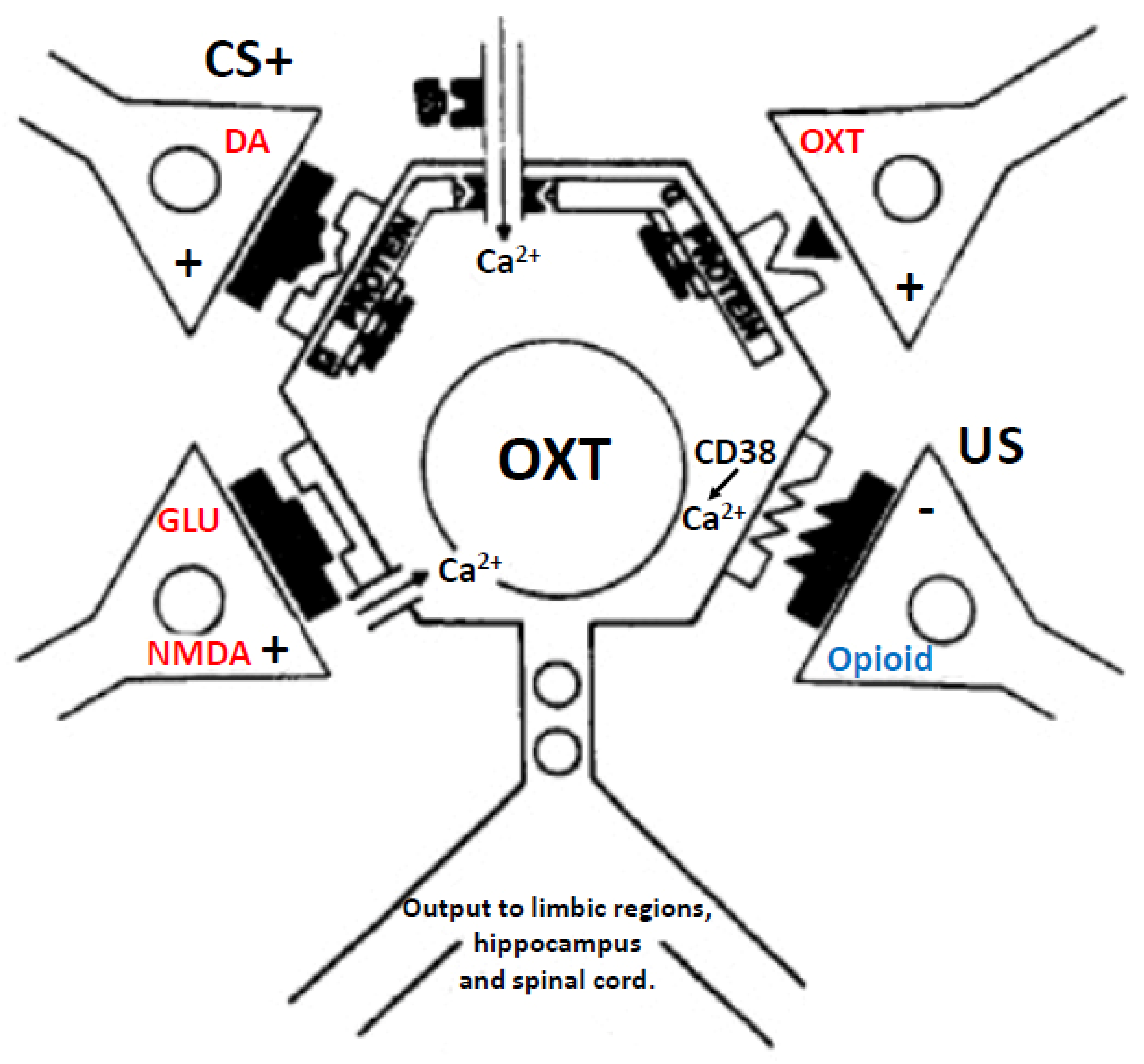 Ijms 23 08928 g008 Ijms 23 08928 g008