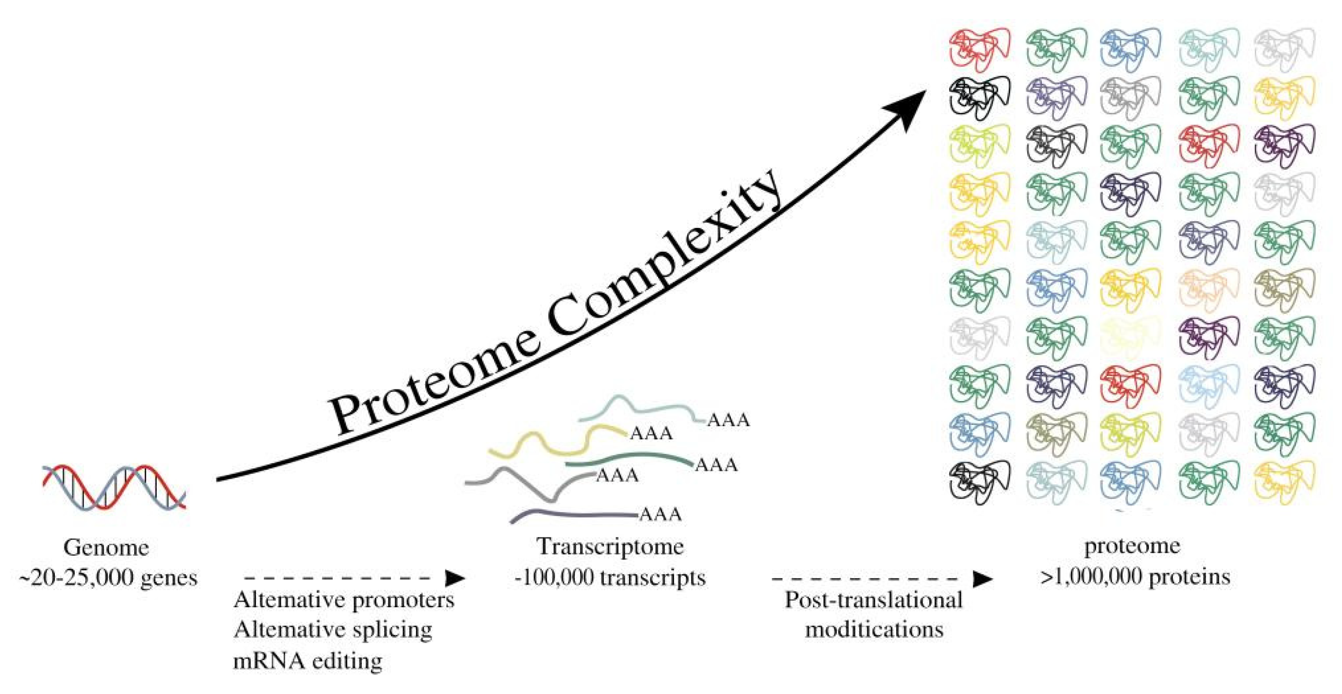 Ijms 23 08939 g002 Ijms 23 08939 g002